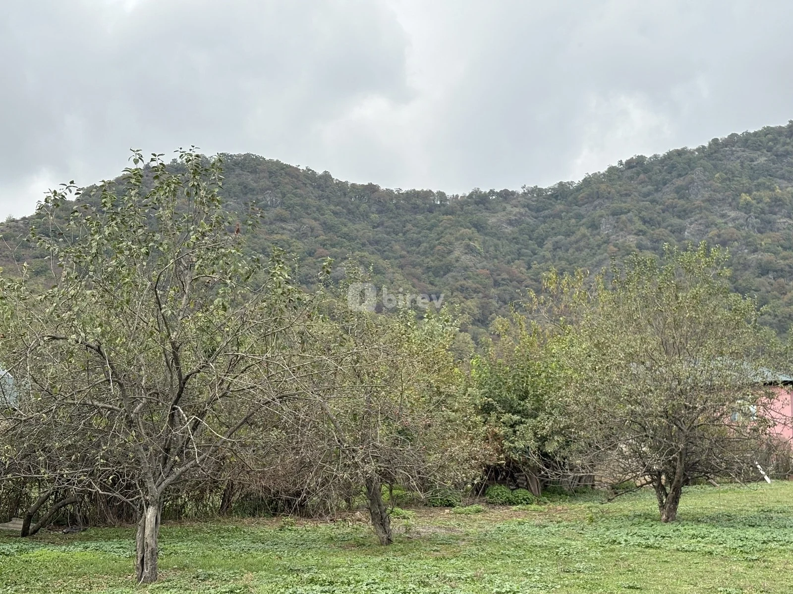 25 sot torpaq, Vəndam, Vəndam qəsəbəsi, Qəbələ rayonu — şəkil 3