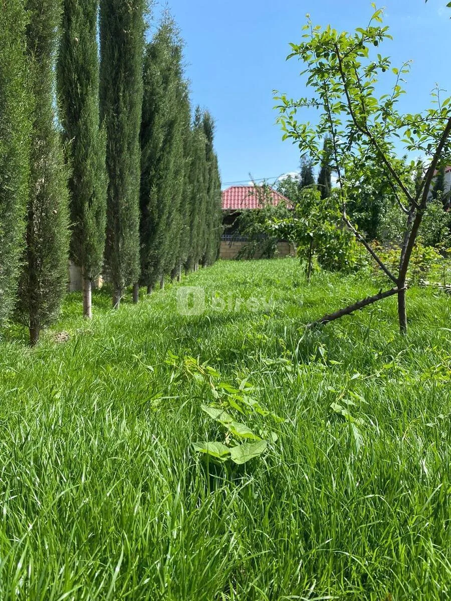 6 otaqlı həyət evi, Quba rayonu, Quba, Qəçrəş — şəkil 5