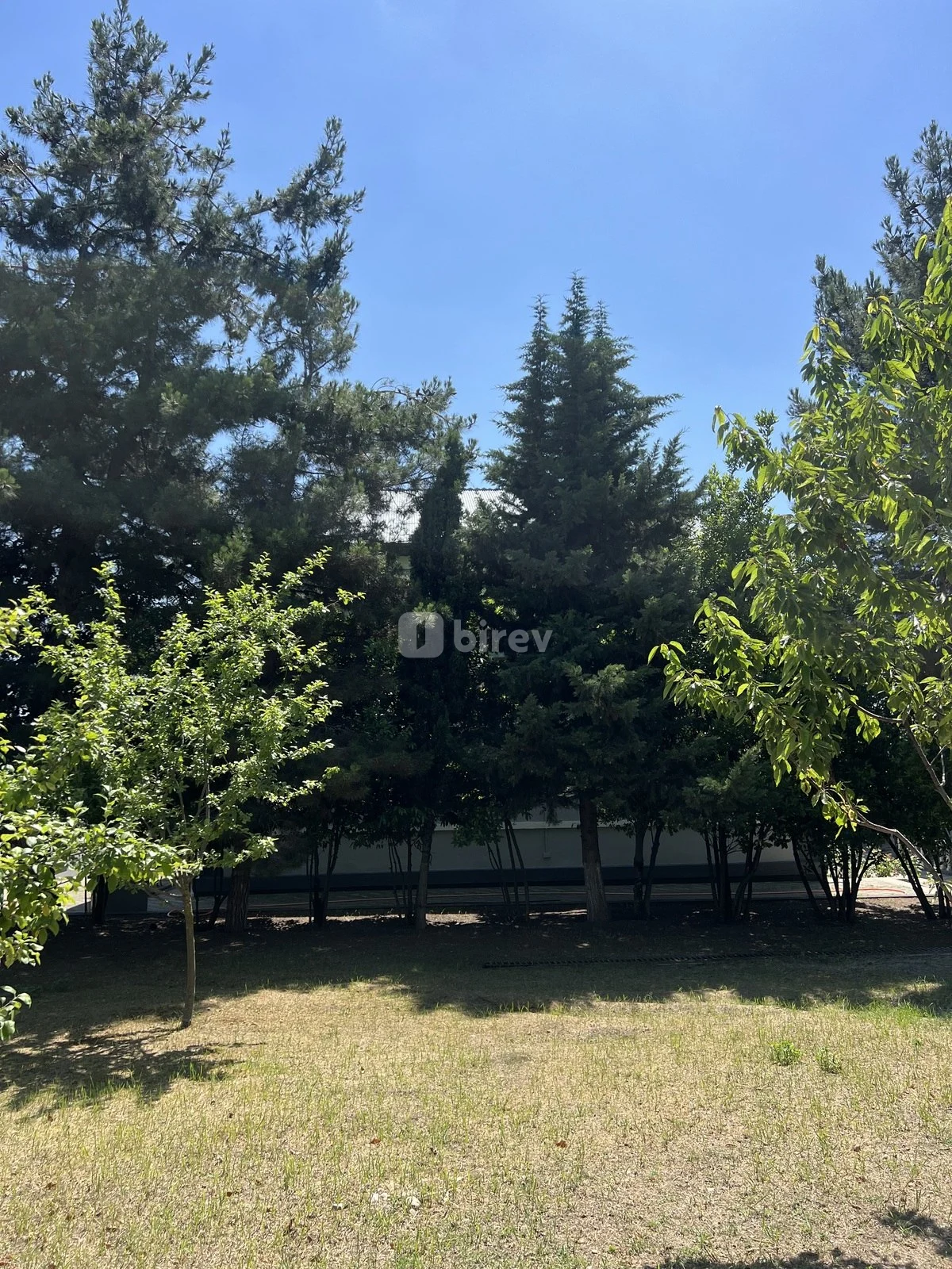 4 otaqlı həyət evi, İsmayıllı rayonu, İsmayıllı rayonu — şəkil 5