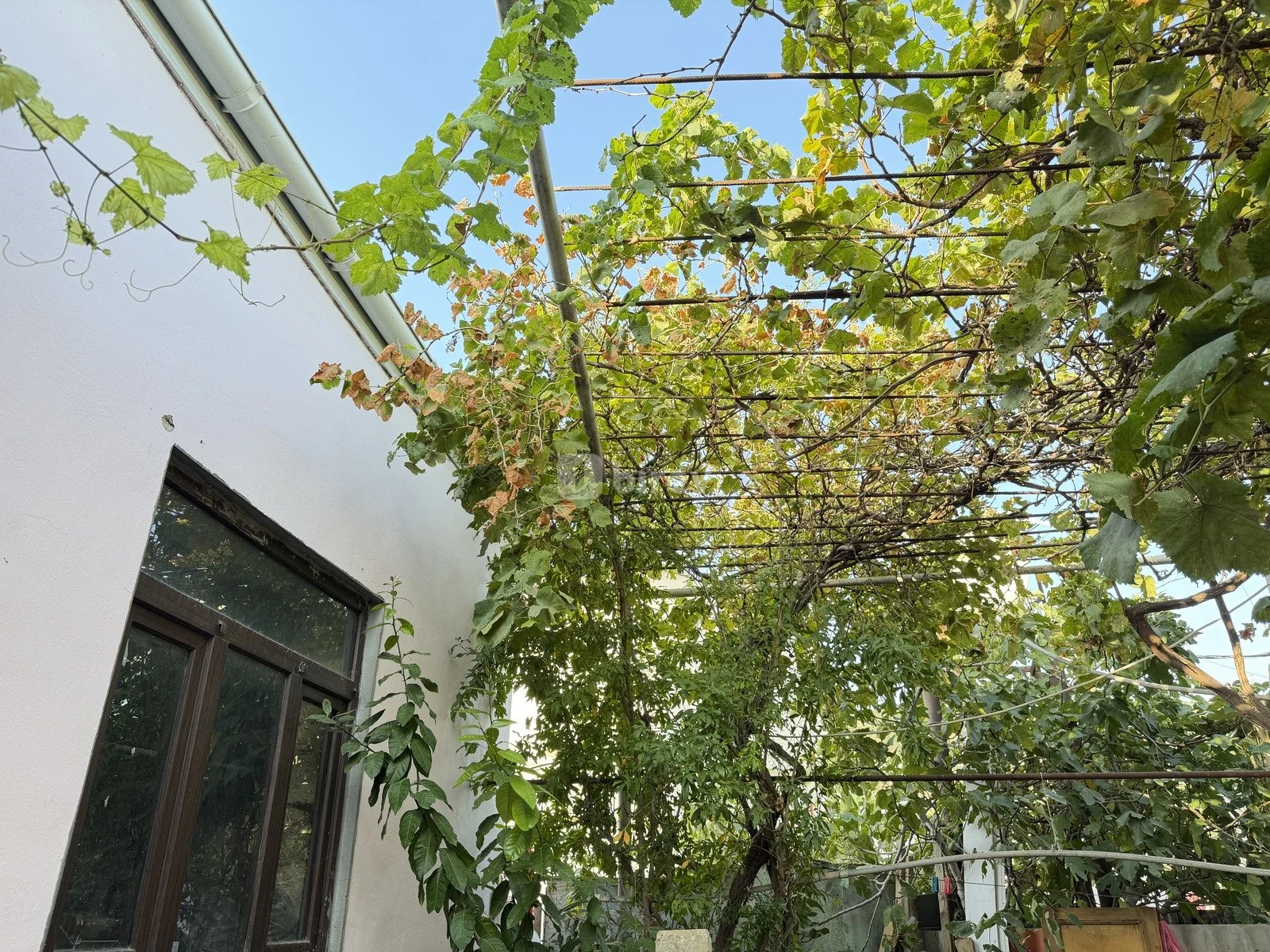 4 otaqlı həyət evi, Bayıl q., Gülbala Əliyev Küçəsi 24, Səbail rayonu — şəkil 4