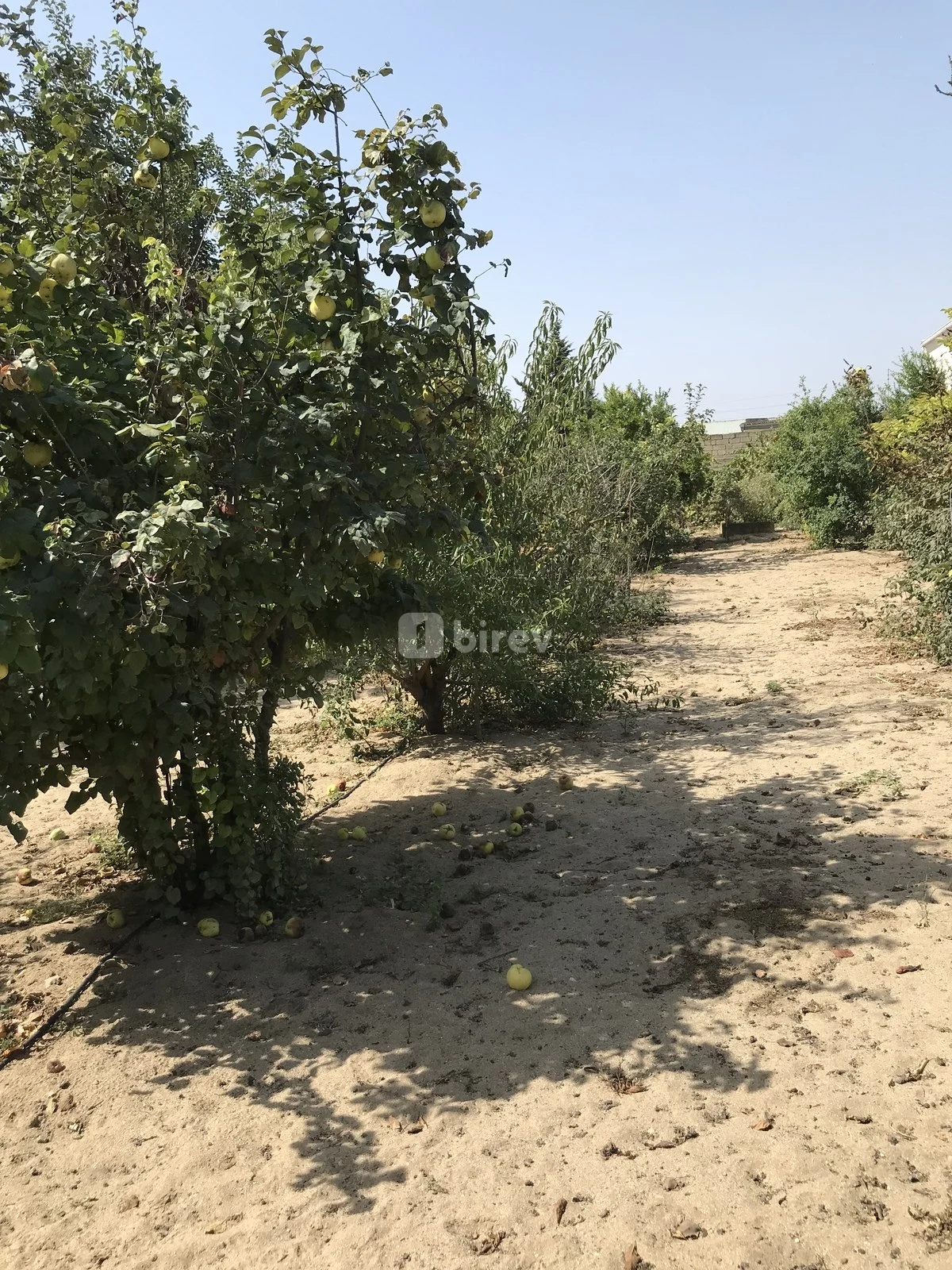 5 otaqlı həyət evi, Bilgəh q., Azərbaycan Qadını küçəsi, Sabunçu rayonu — şəkil 23