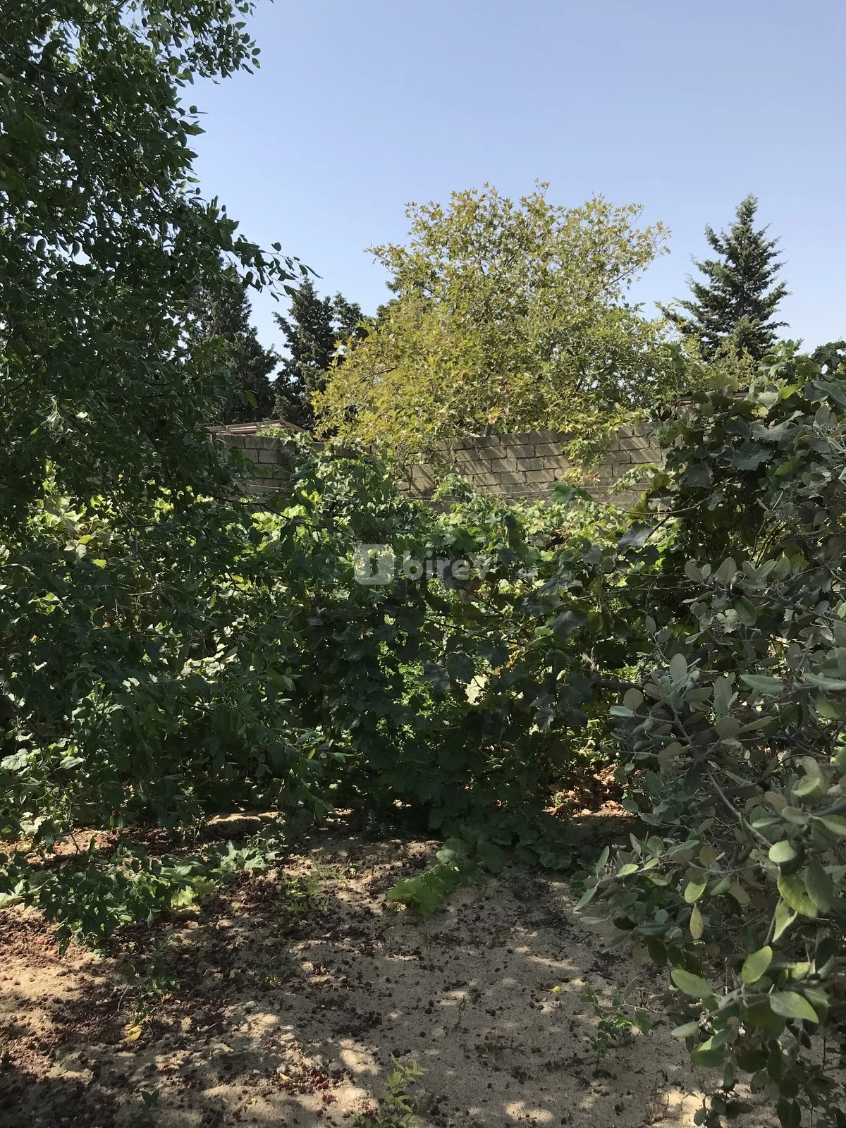 5 otaqlı həyət evi, Bilgəh q., Azərbaycan Qadını küçəsi, Sabunçu rayonu — şəkil 24