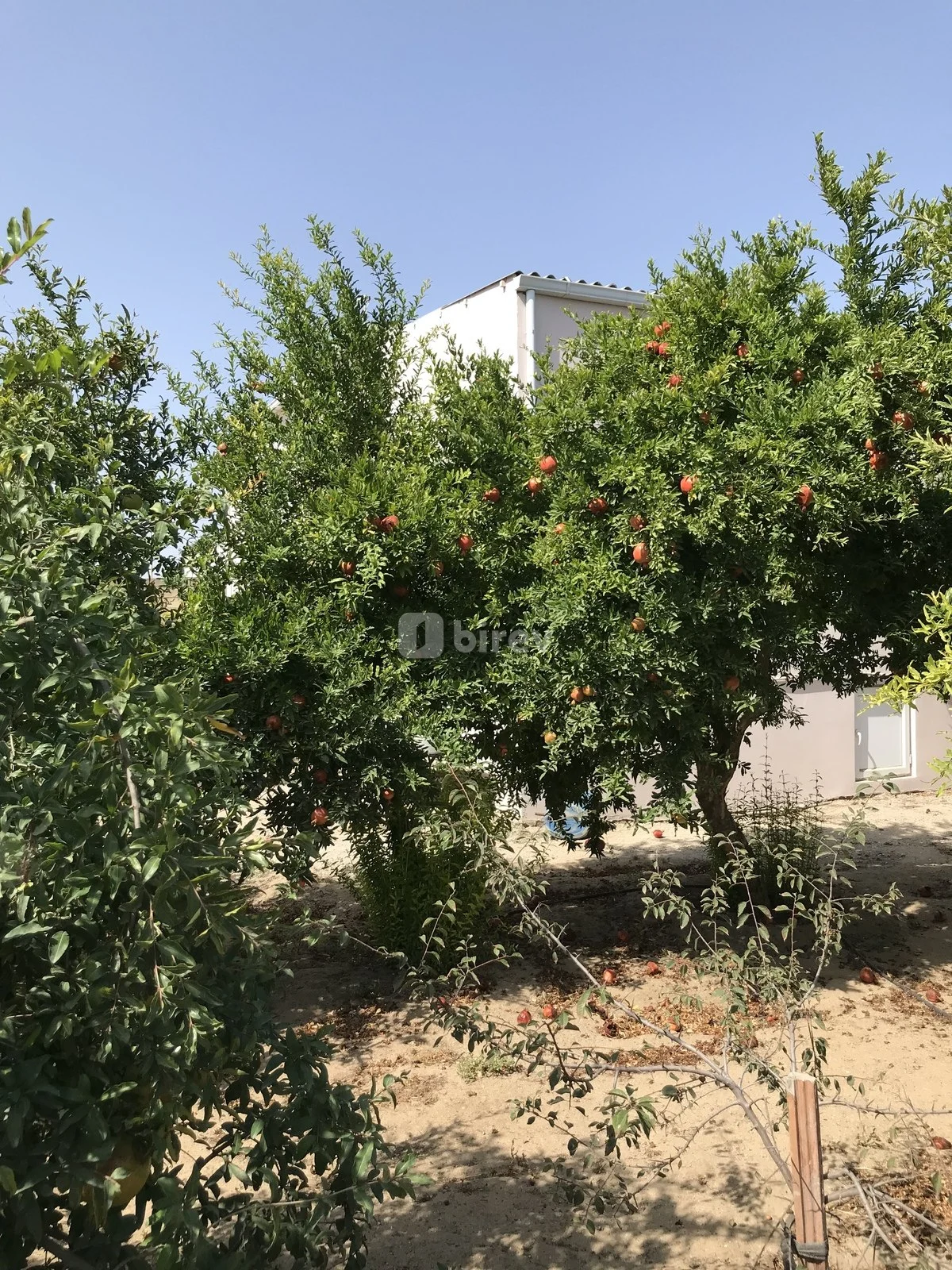 5 otaqlı həyət evi, Bilgəh q., Azərbaycan Qadını küçəsi, Sabunçu rayonu — şəkil 26