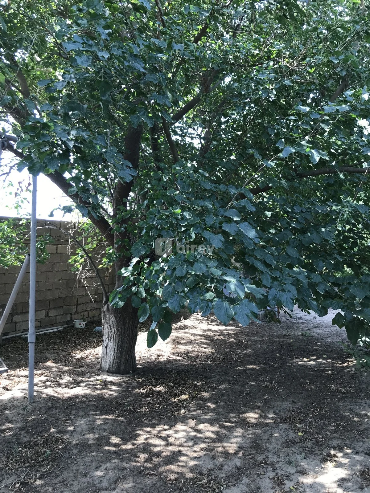 5 otaqlı həyət evi, Bilgəh q., Azərbaycan Qadını küçəsi, Sabunçu rayonu — şəkil 27