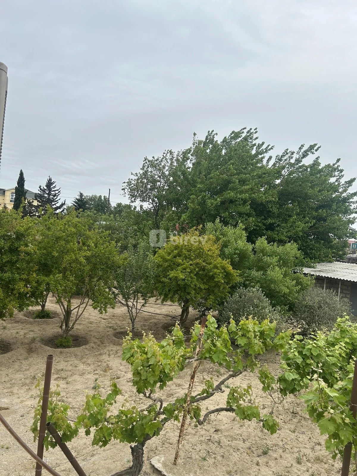 5 otaqlı həyət evi, Bilgəh q., Azərbaycan Qadını küçəsi, Sabunçu rayonu — şəkil 29
