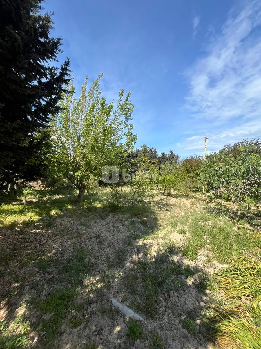 4 otaqlı həyət evi, Albalılıq q., Maştağa, Albalı bağları, Ev(bina) 2337, Mənzil 0121, Sabunçu rayonu — şəkil 10
