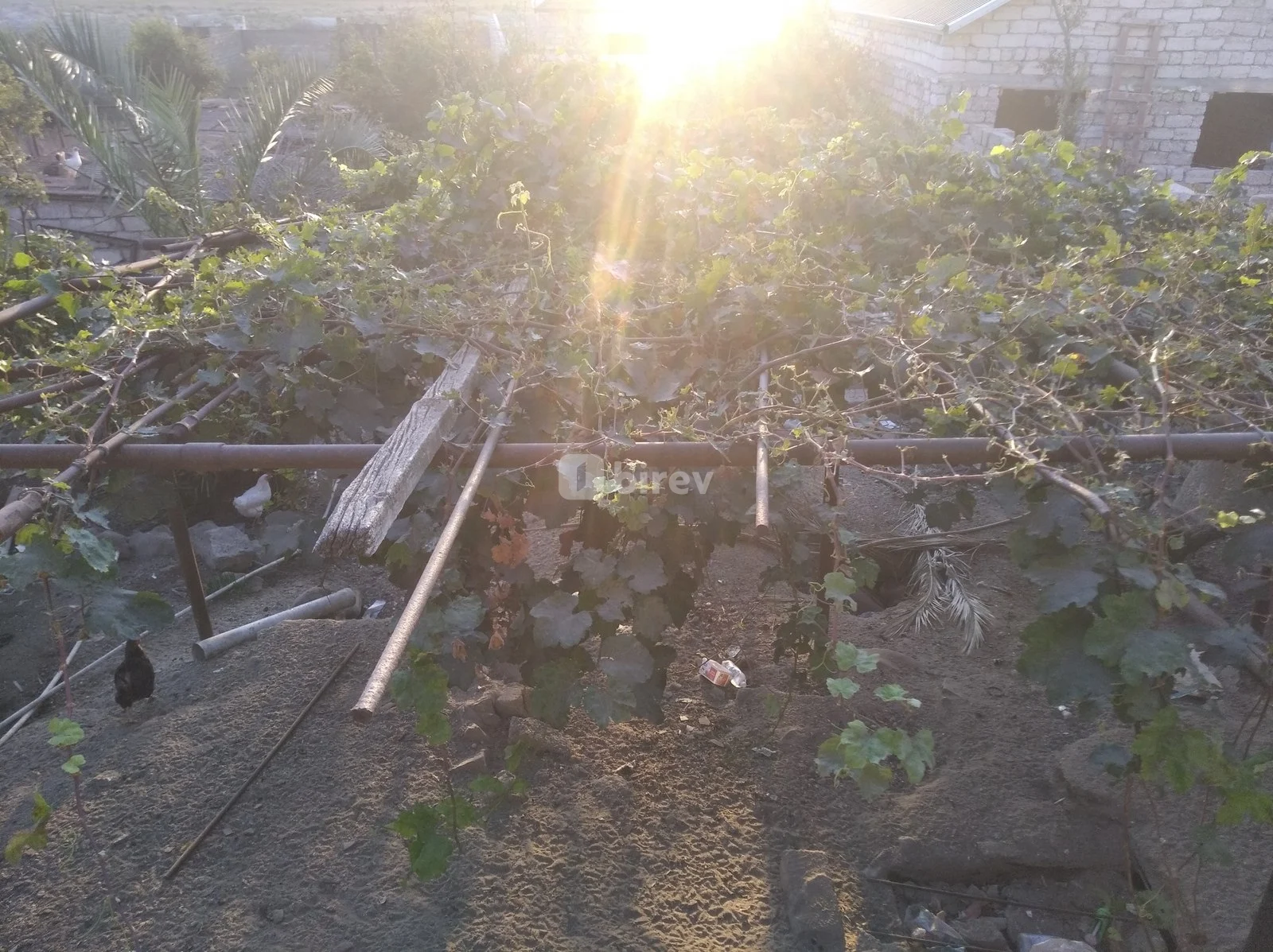 3 sot torpaq, Pirallahı rayonu, Əzizbəyov küçəsi, Bakı şəhəri — şəkil 12