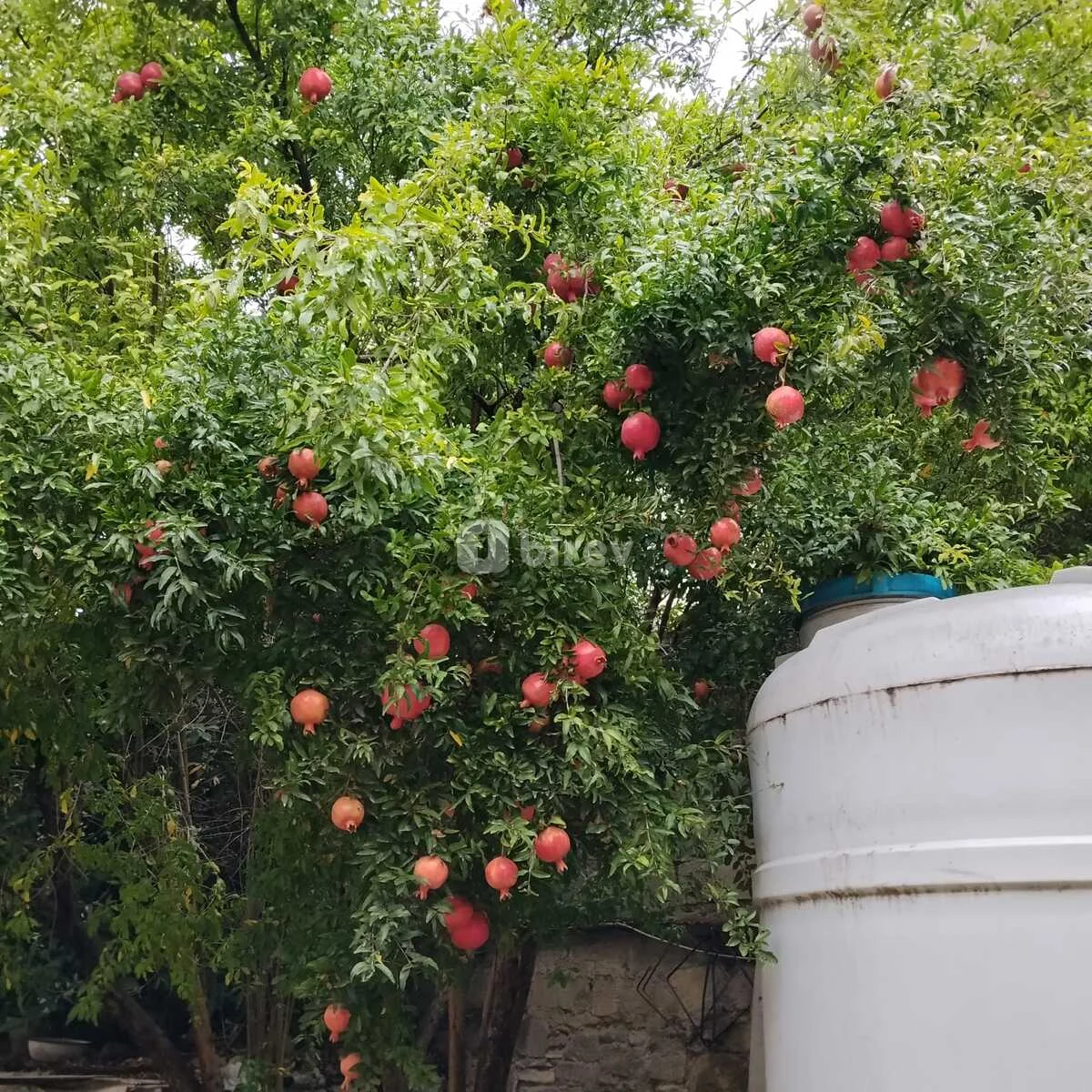 4 otaqlı həyət evi, Sabunçu q., Sabunçu qəsəbəsi, Sabunçu rayonu — şəkil 7