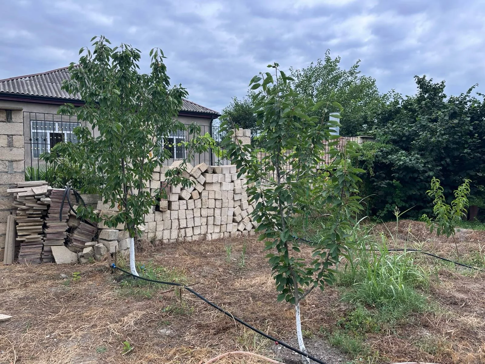 3 otaqlı həyət evi, Xaçmaz rayonu, Çiləgir kəndi — şəkil 9