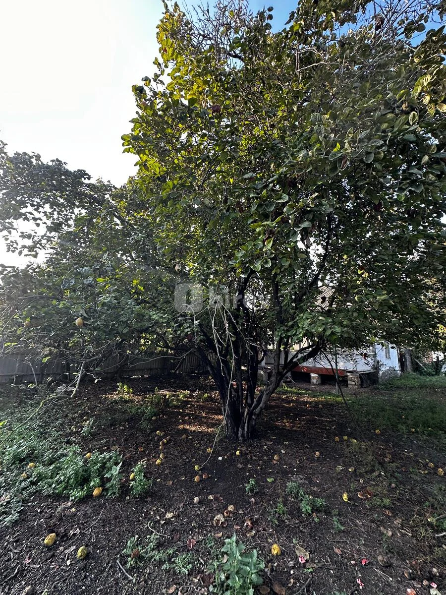 7 sot torpaq, Göyçay rayonu, MOLLAHACILI KƏNDİ — şəkil 2