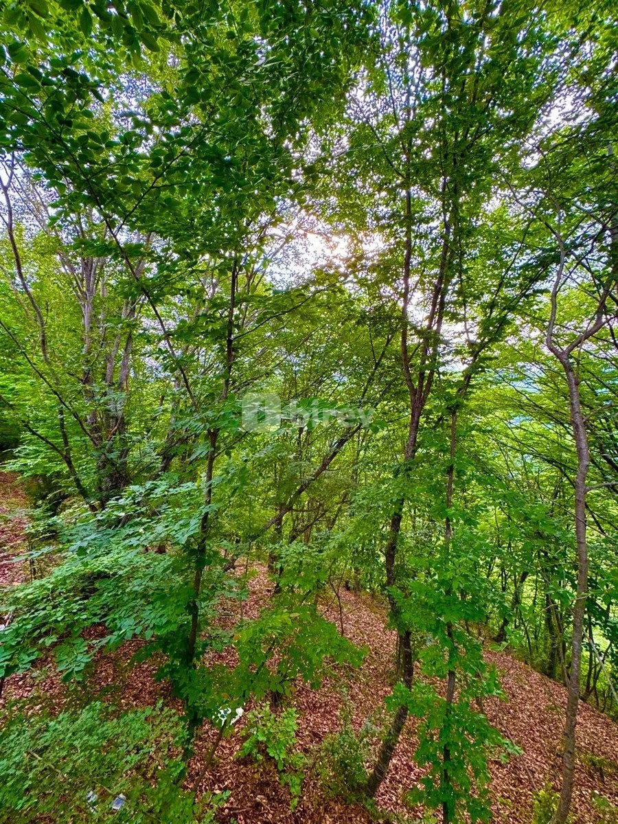 1 otaqlı həyət evi, Quba rayonu, Quba rayonu — şəkil 9