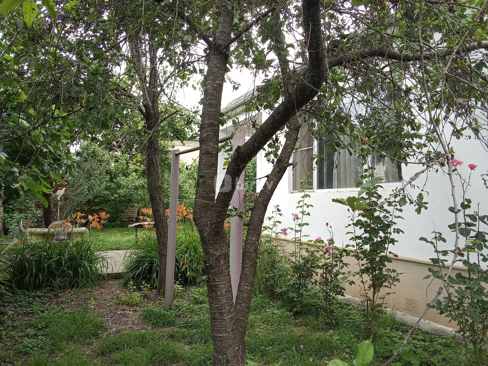 3 otaqlı həyət evi, Qusar rayonu, Zərifə Əliyeva küç. 183, Qusar rayonu — şəkil 2