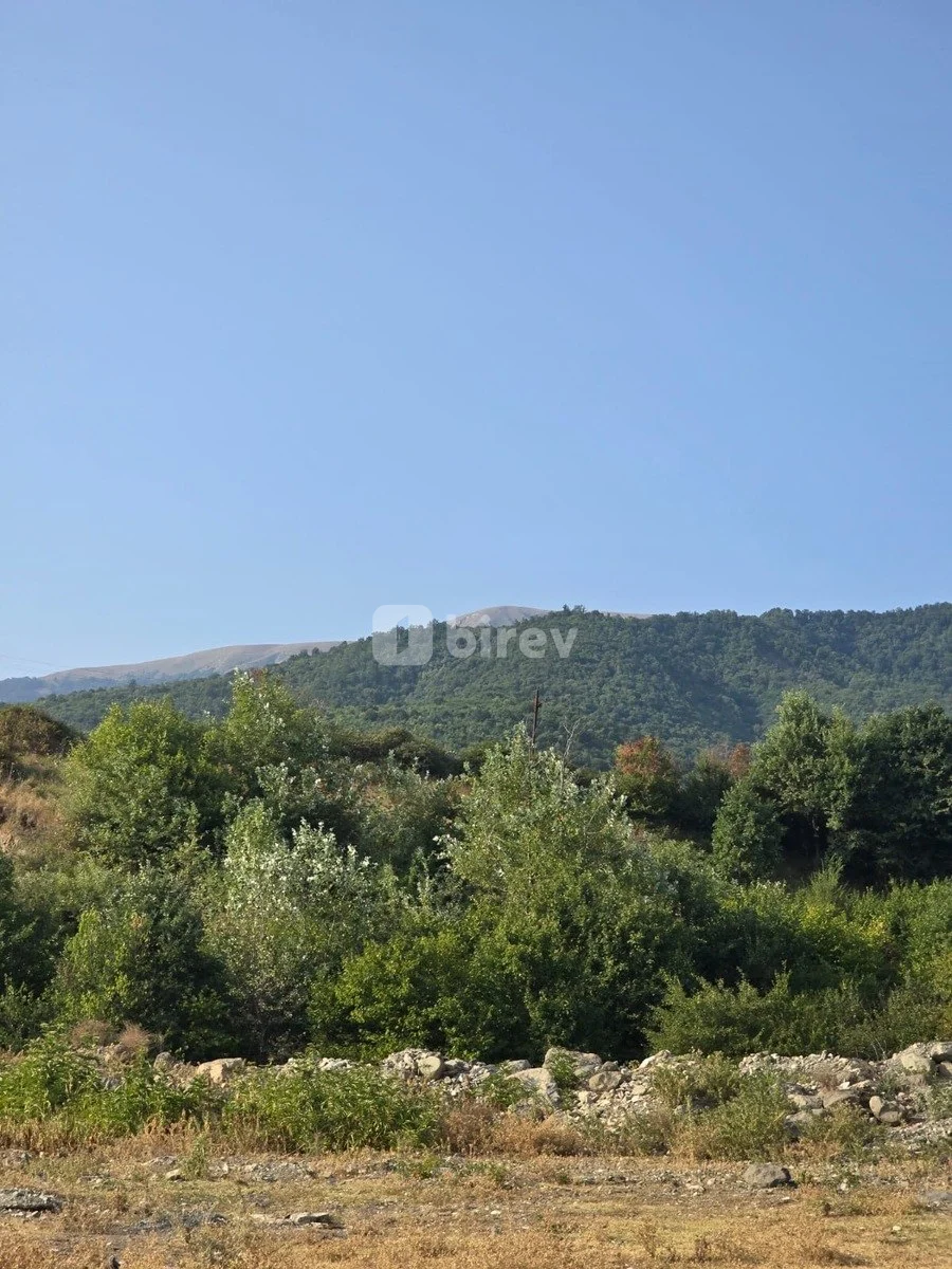 9 sot torpaq, Talıstan, İsmayıllı rayonu, İsmayıllı rayonu — şəkil 3