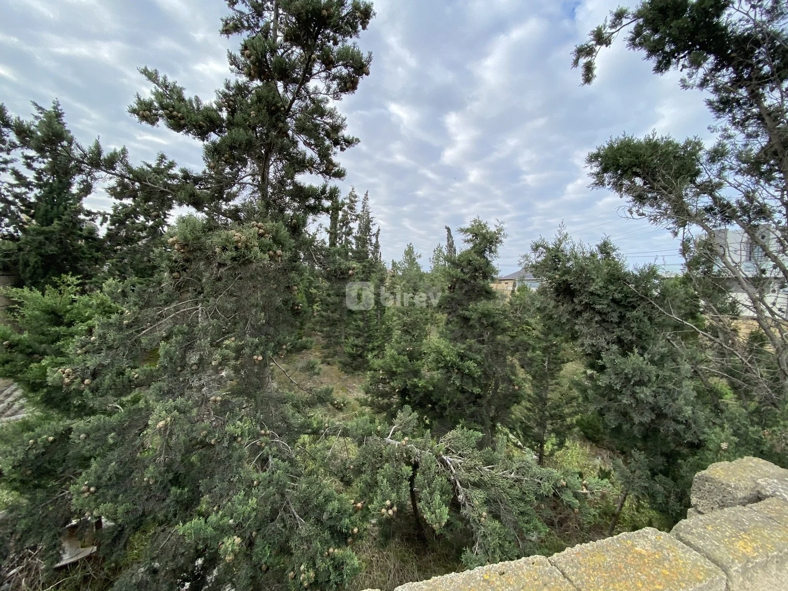 12 sot torpaq, Sumqayıt şəhəri, Saray qəs — şəkil 3