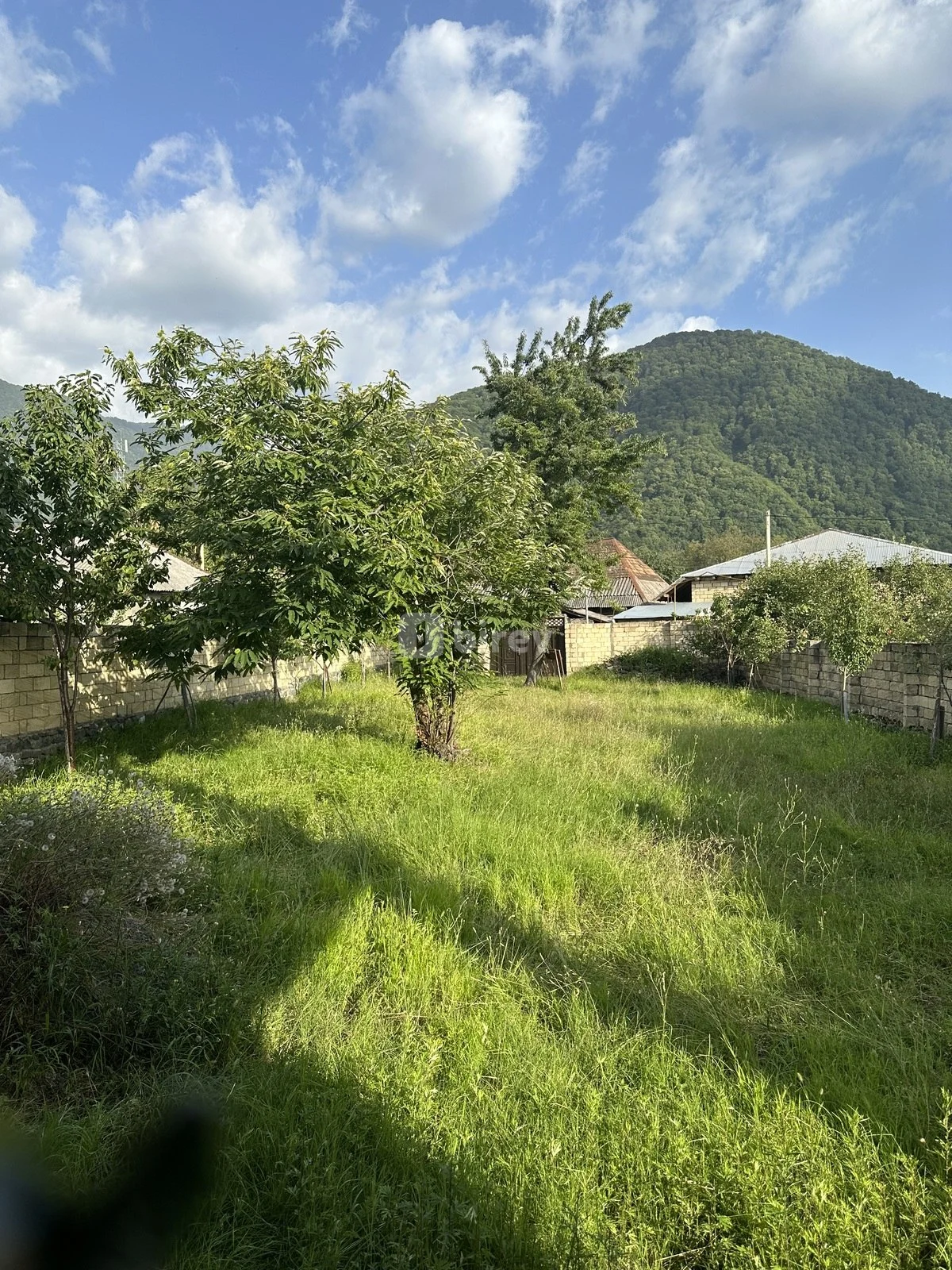 5 otaqlı həyət evi, Qaxbaş, Heydər Əliyev prospekti, Qax rayonu — şəkil 7