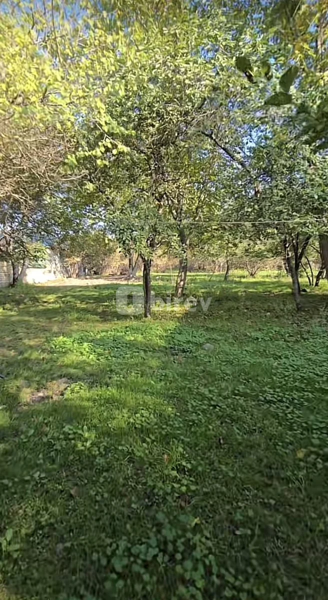 27 sot torpaq, Vəndam, Vəndam qəsəbəsi, Qəbələ rayonu — şəkil 7
