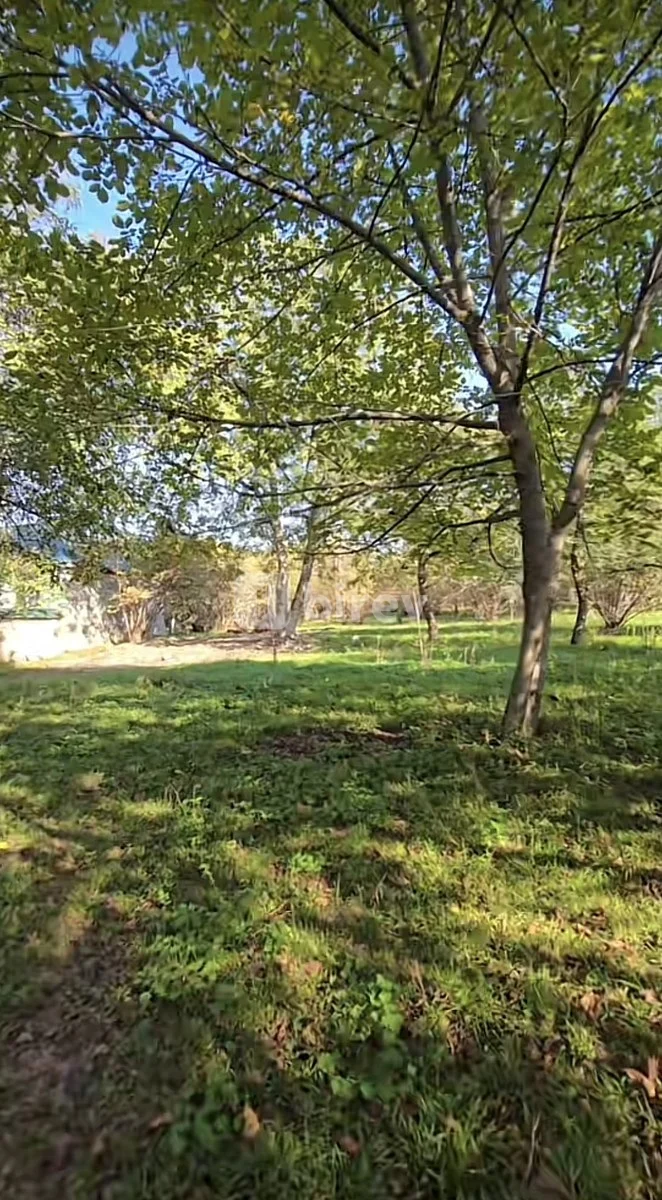27 sot torpaq, Vəndam, Vəndam qəsəbəsi, Qəbələ rayonu — şəkil 8