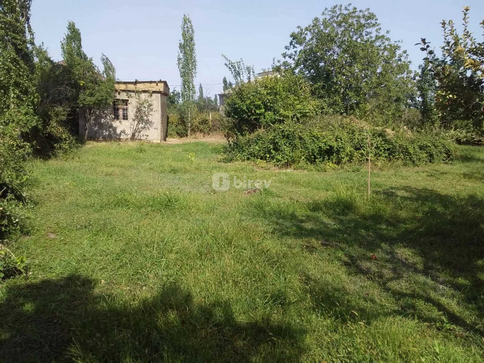 20 sot torpaq, Şabran rayonu, Şabran rayonu — şəkil 3
