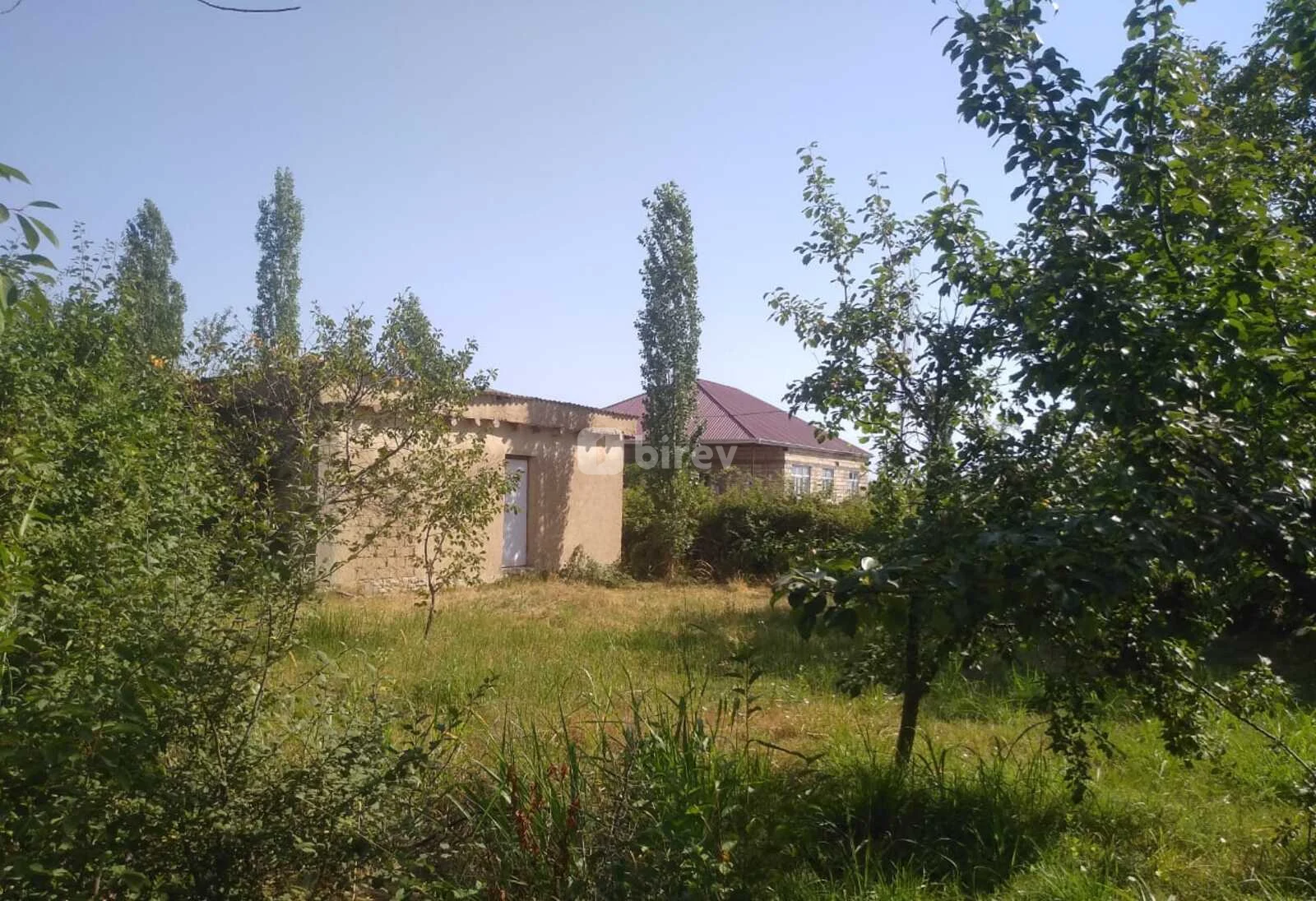 20 sot torpaq, Şabran rayonu, Şabran rayonu — şəkil 12