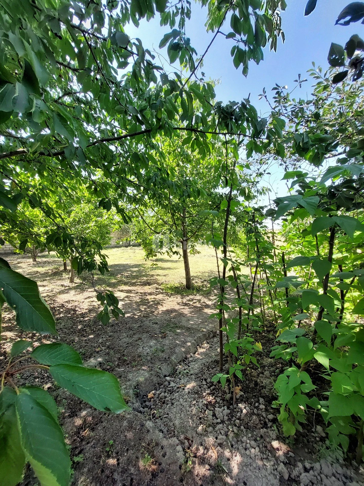 4 otaqlı həyət evi, Quba rayonu, Quba rayonu — şəkil 25
