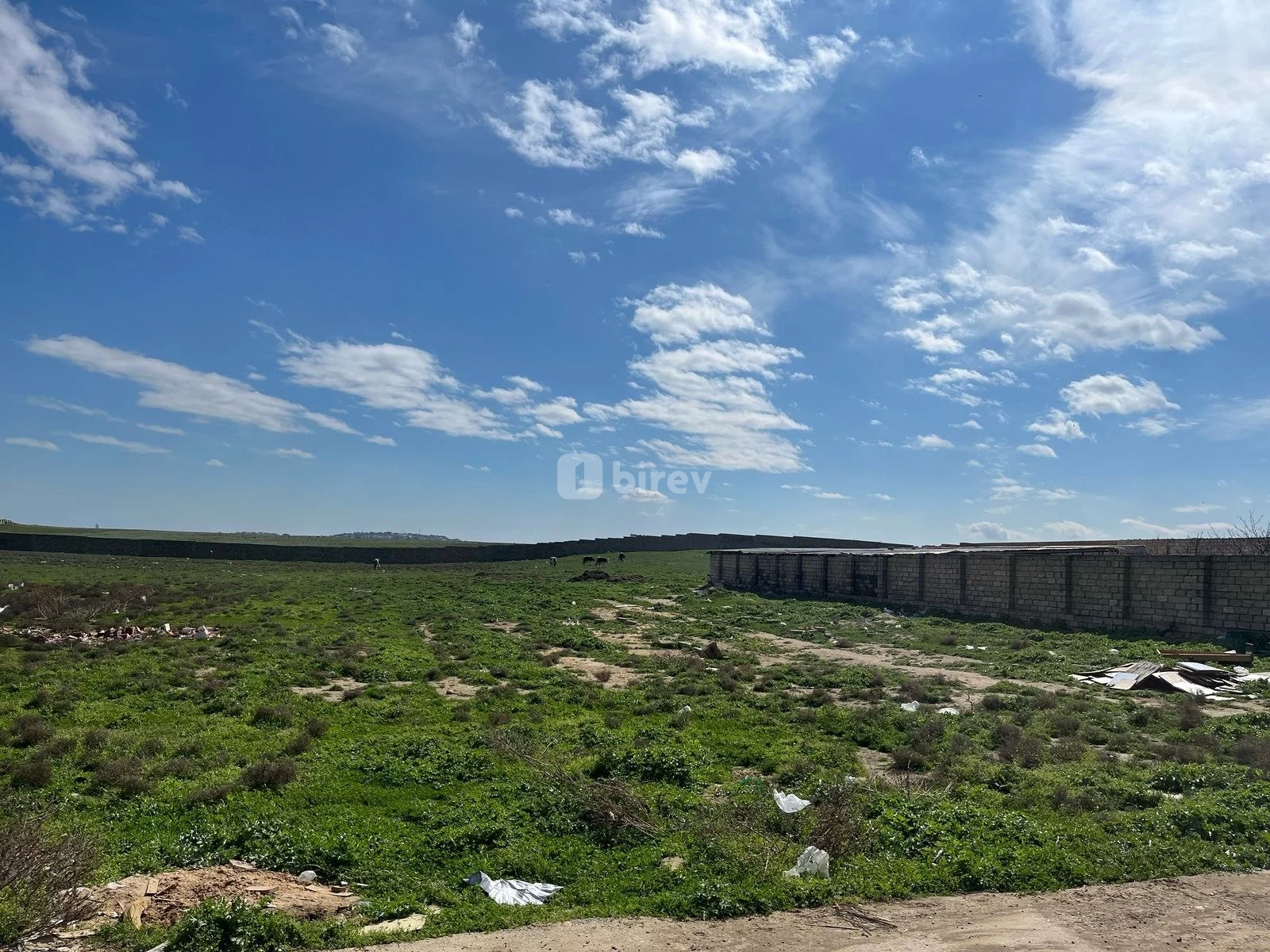 32 sot torpaq, Novxanı q., Novxani, Abşeron rayonu — şəkil 3