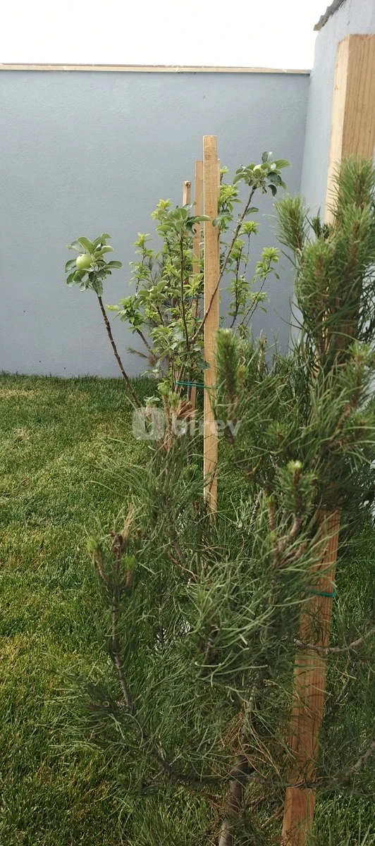 4 otaqlı həyət evi, Zirə q., Zirə Türkan yolu, Xəzər rayonu — şəkil 13