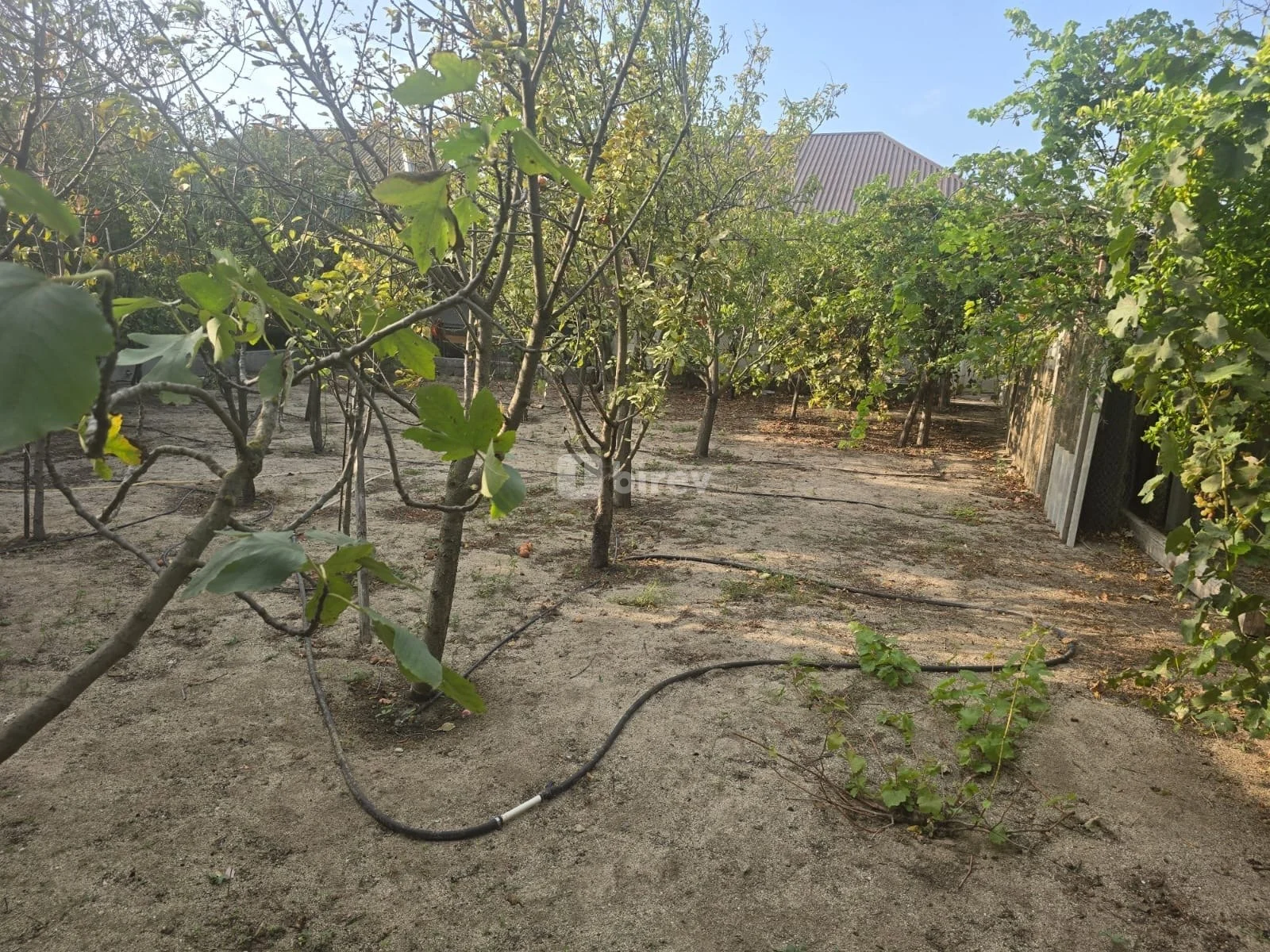3 otaqlı həyət evi, Pirşağı q., Pirşağı qəs., Sabunçu rayonu — şəkil 7