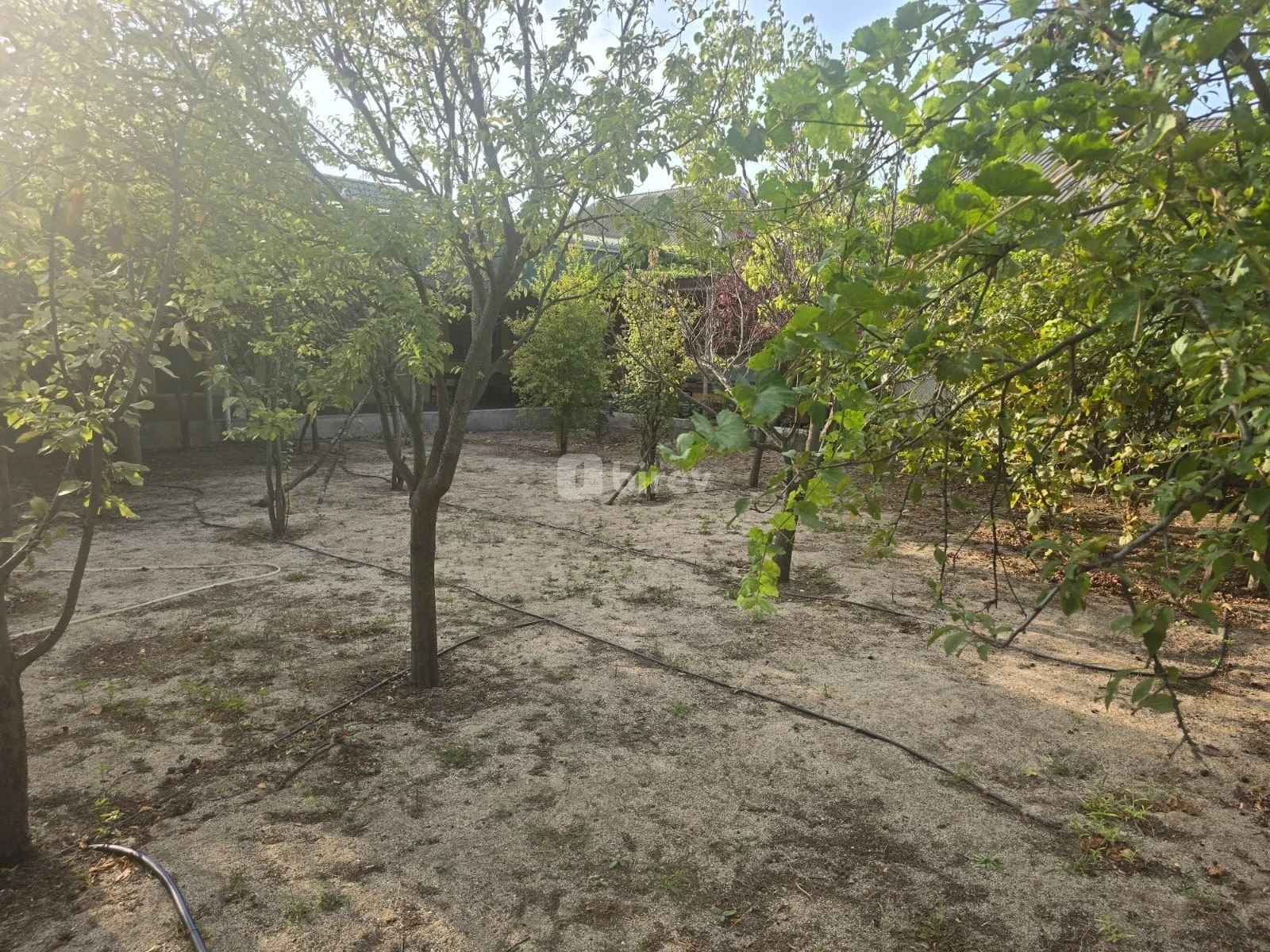 3 otaqlı həyət evi, Pirşağı q., Pirşağı qəs., Sabunçu rayonu — şəkil 9