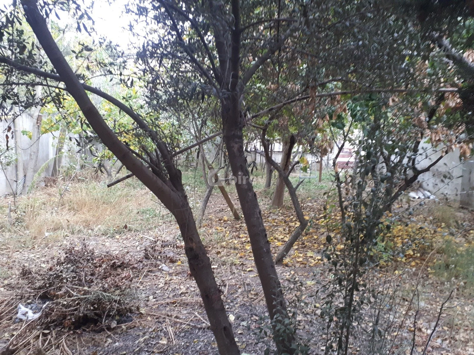 12 sot torpaq, Badamdar q., Badamdar qəsəbəsi, Səbail rayonu — şəkil 9