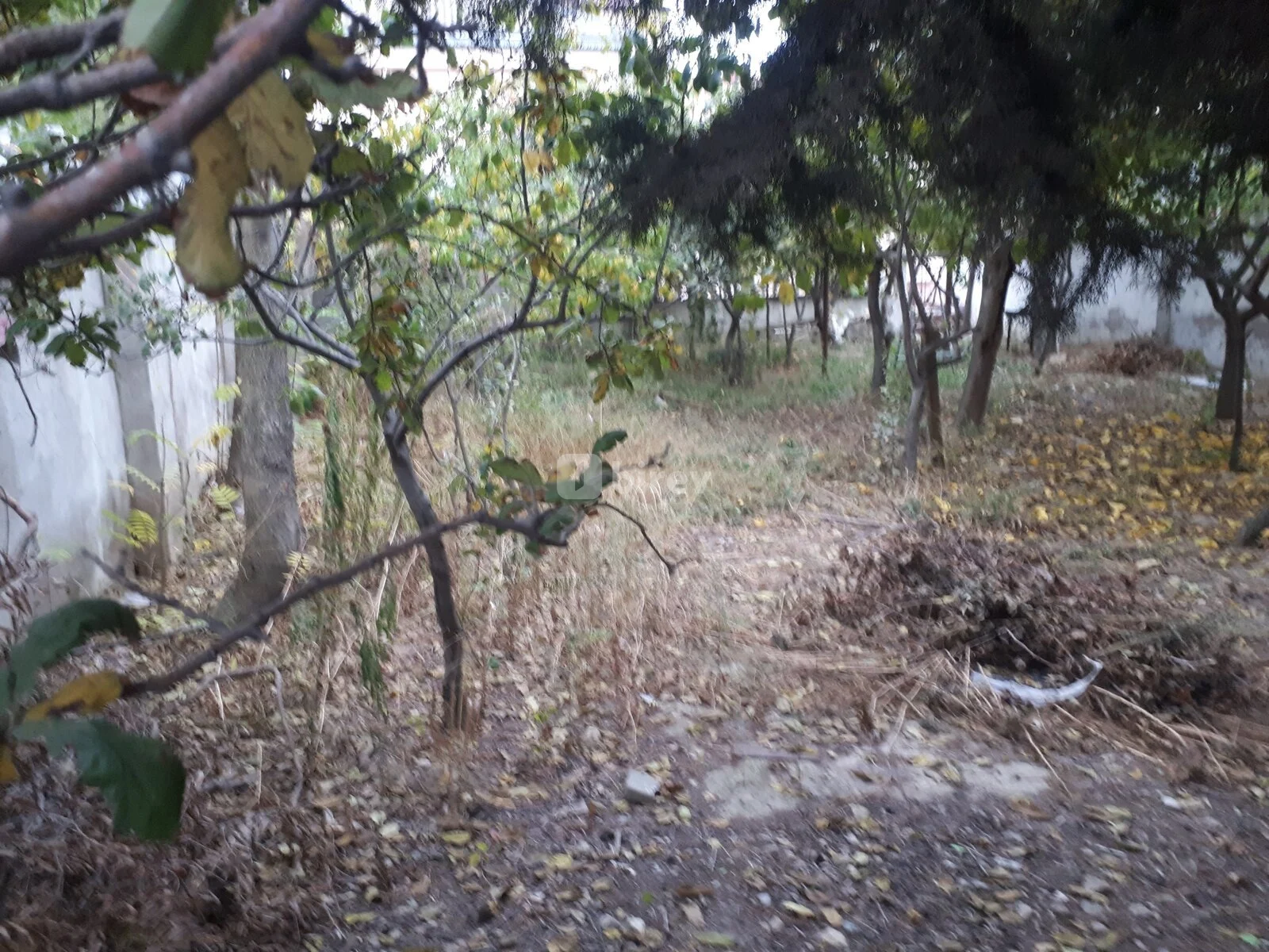 12 sot torpaq, Badamdar q., Badamdar qəsəbəsi, Səbail rayonu — şəkil 10