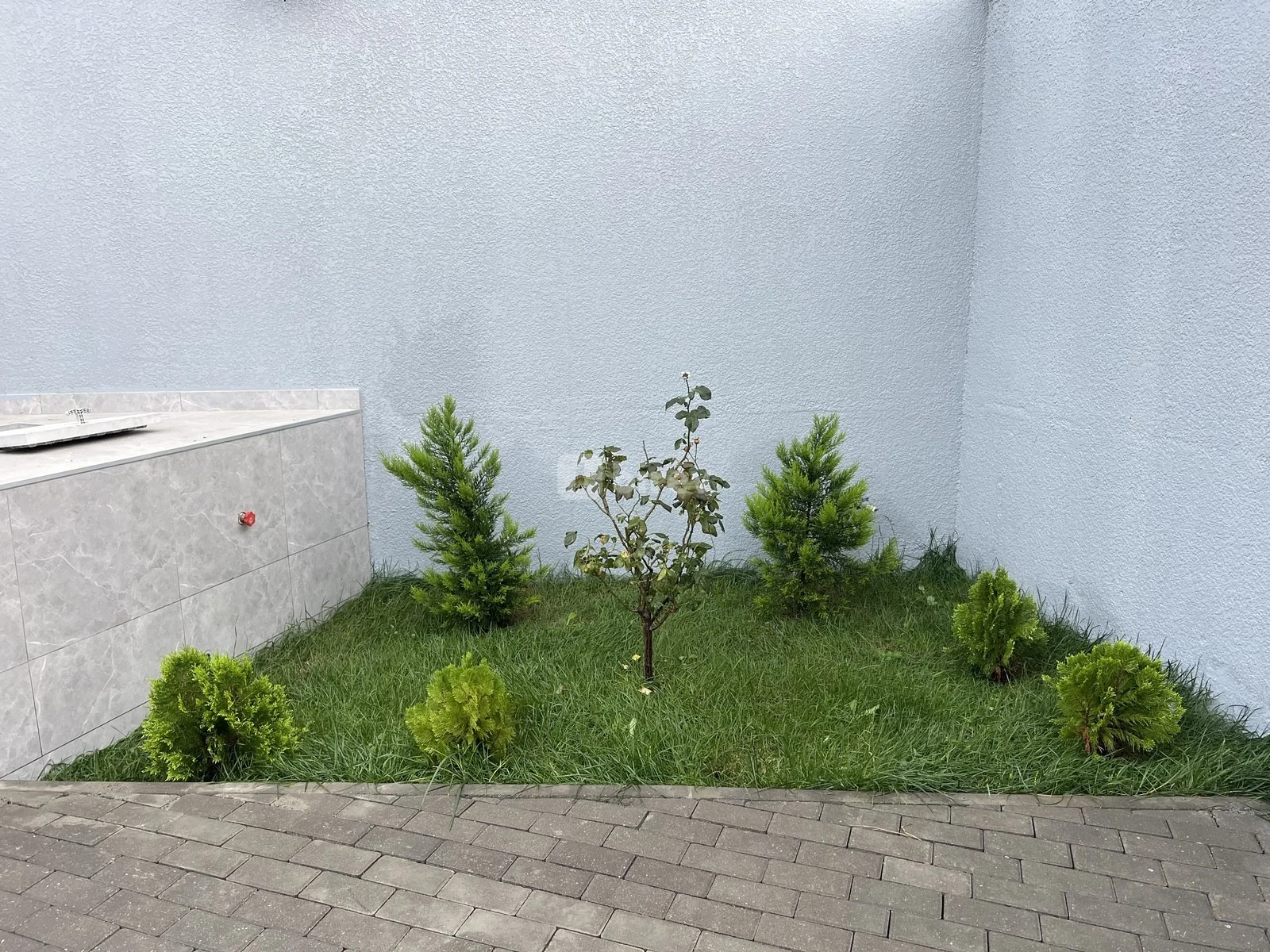 4 otaqlı həyət evi, Albalılıq q., Rəşid Behbudov küçəsi, Sabunçu rayonu — şəkil 5