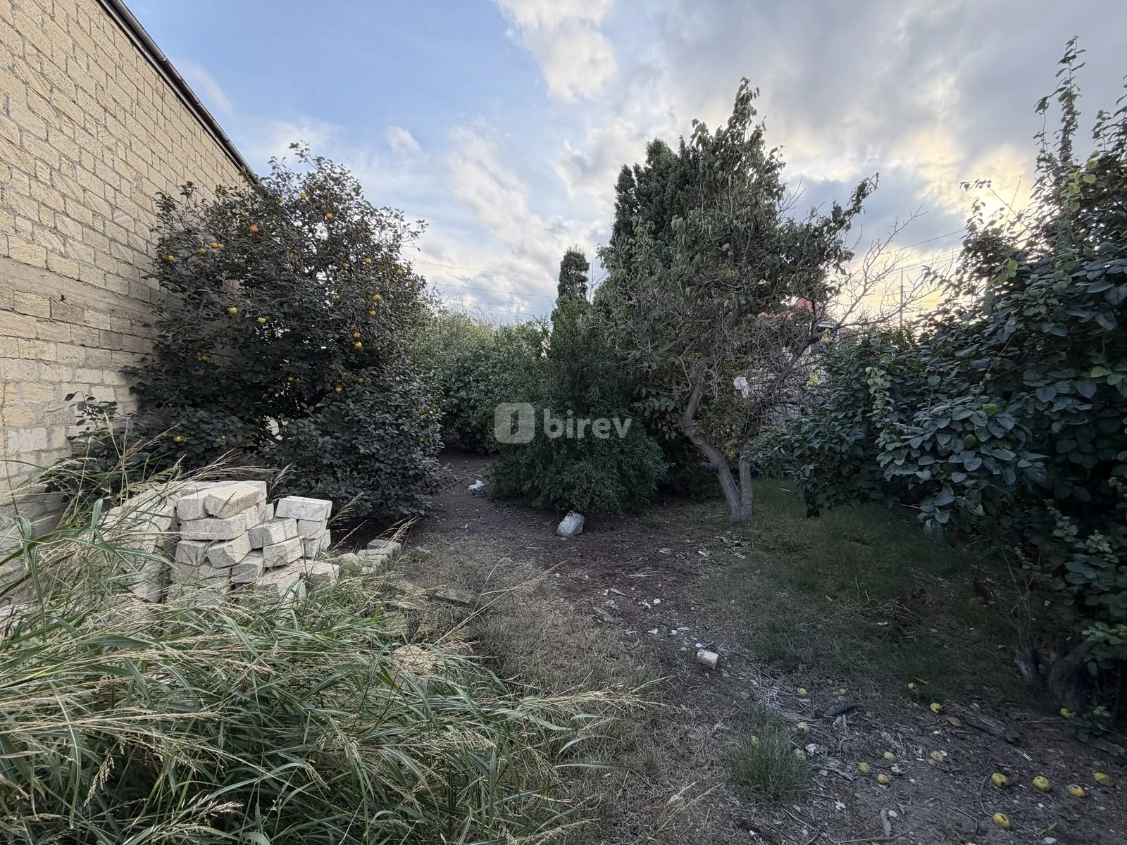 8 sot torpaq, Sumqayıt şəhəri, Xəzər bağları — şəkil 1