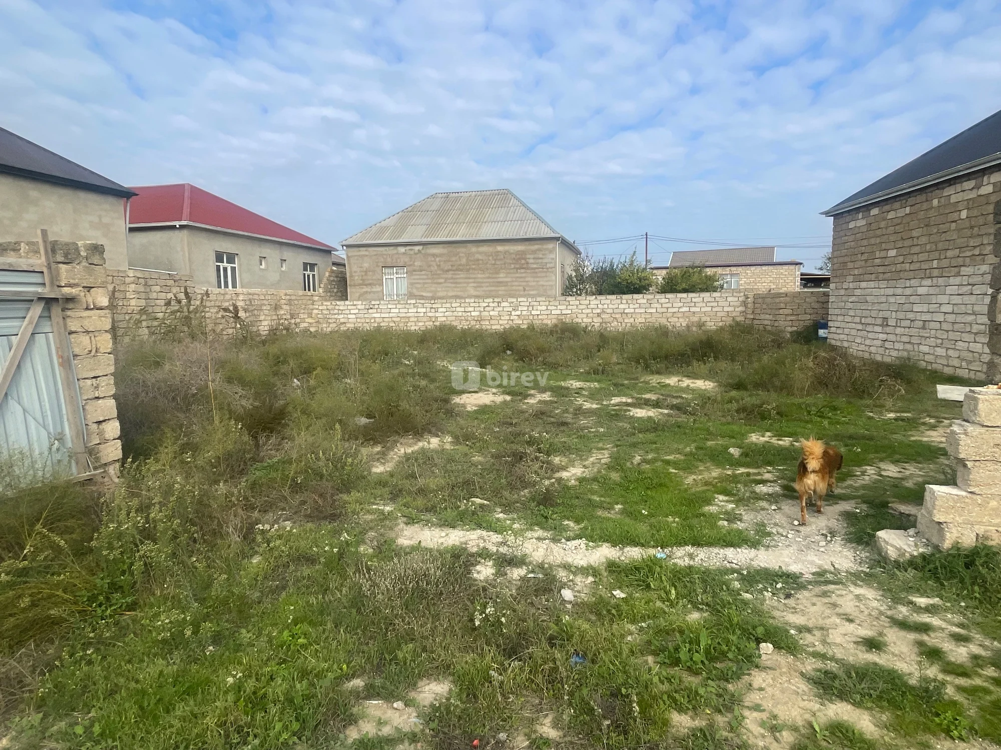 4 sot torpaq, Ramana q., Ramana savxoz, Sabunçu rayonu — şəkil 4