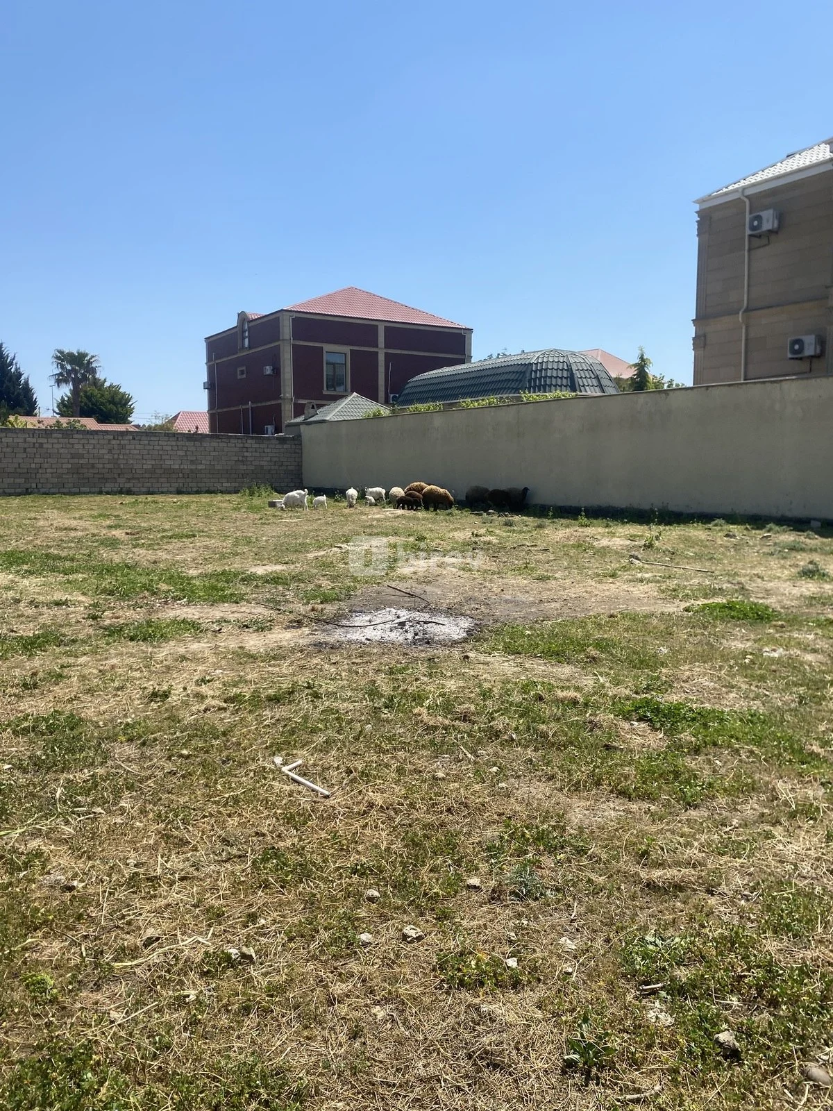12 sot torpaq, Buzovna q., Buzovna qəsəbəsi, Xəzər rayonu — şəkil 1