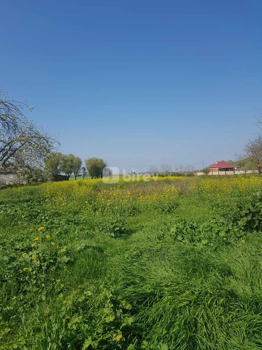 5 otaqlı həyət evi, Masallı rayonu, Masallı rayonu — şəkil 1
