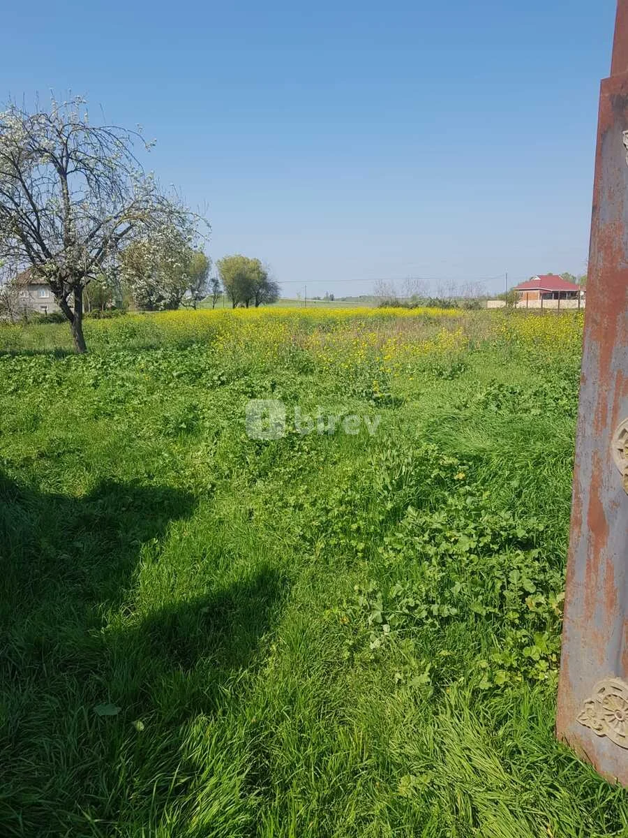 5 otaqlı həyət evi, Masallı rayonu, Masallı rayonu — şəkil 2