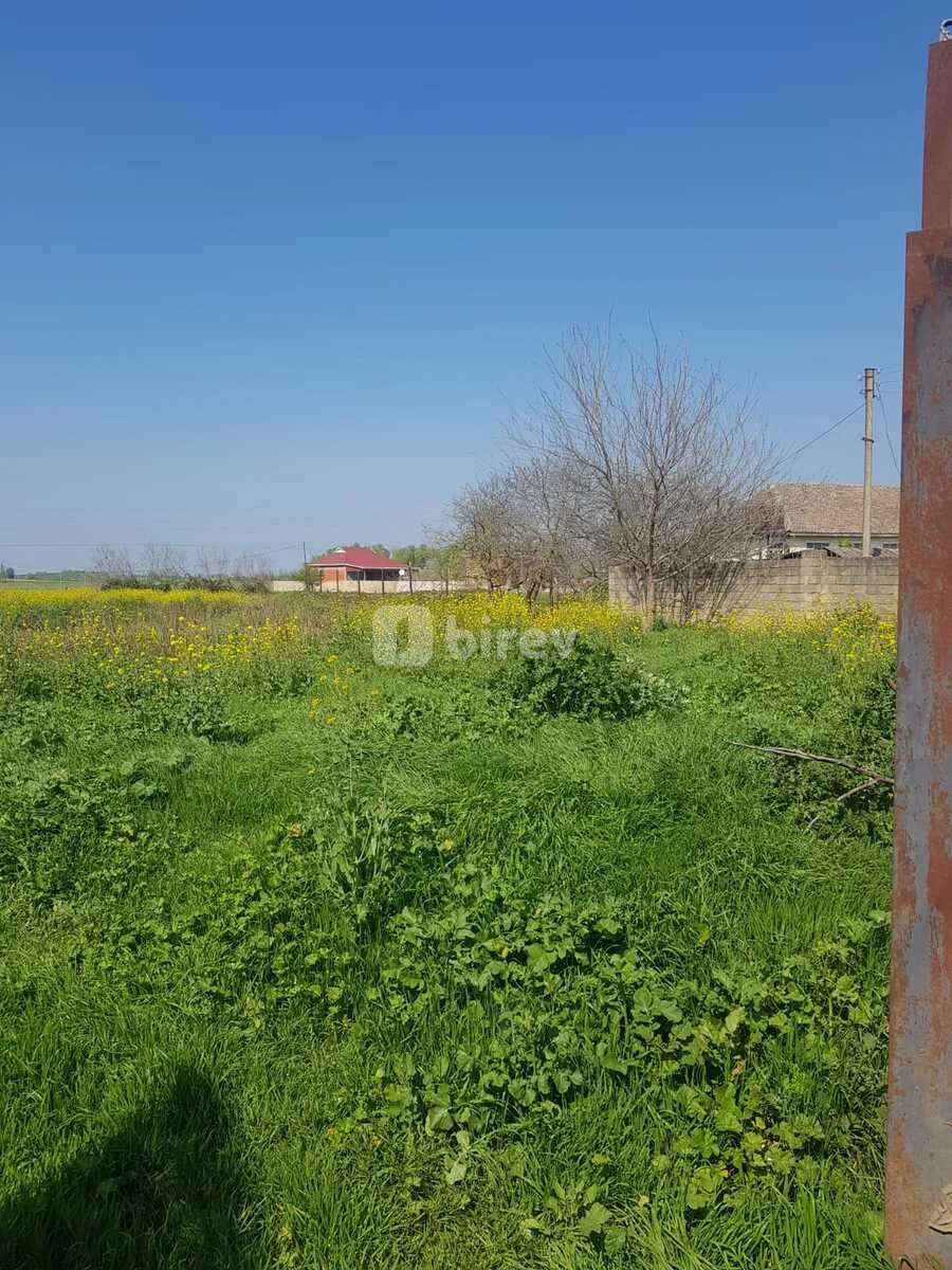 5 otaqlı həyət evi, Masallı rayonu, Masallı rayonu — şəkil 5