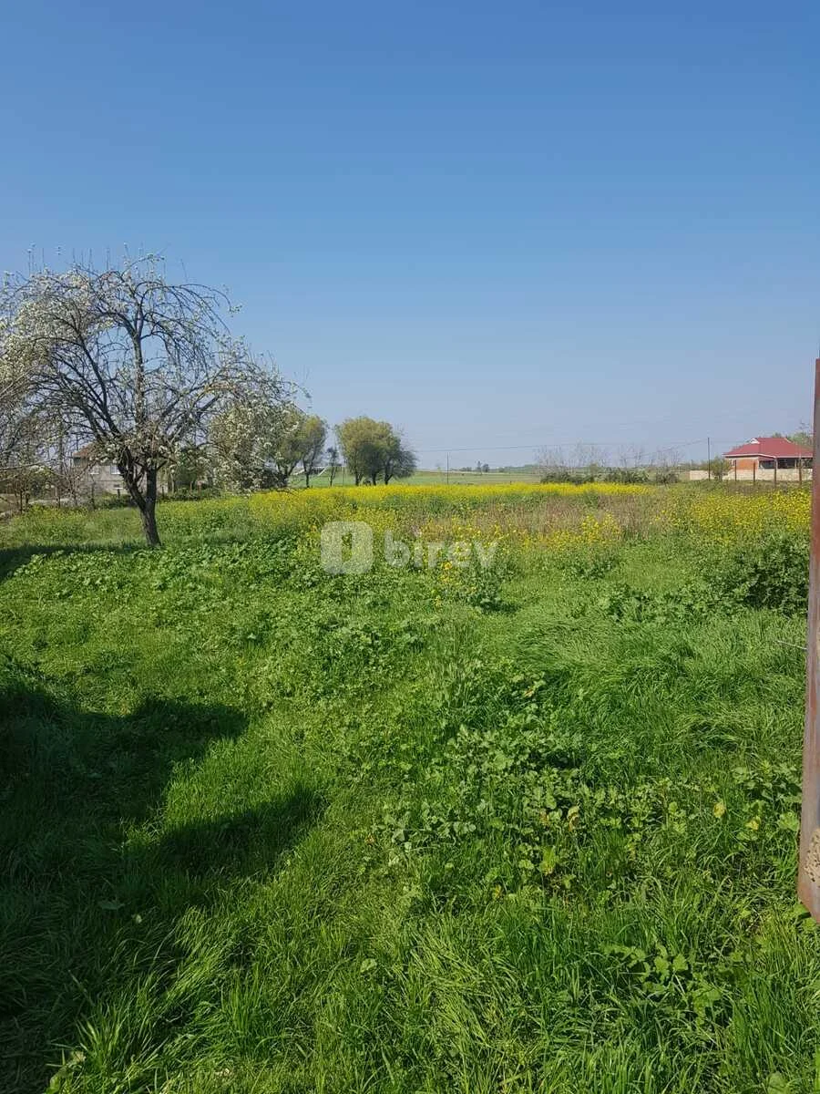 5 otaqlı həyət evi, Masallı rayonu, Masallı rayonu — şəkil 6