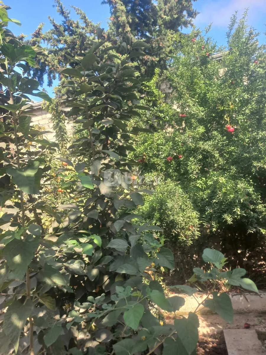 11 otaqlı həyət evi, Buzovna q., Buzovna qəsəbəsi, Xəzər rayonu — şəkil 3