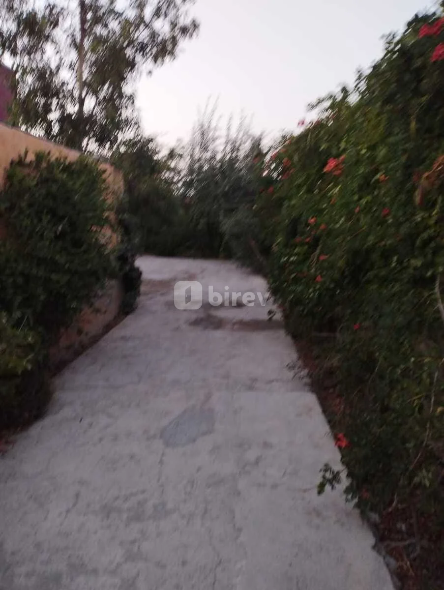 9 otaqlı həyət evi, Mərdəkan q., Buzovna Mərdəkan yolu, Xəzər rayonu — şəkil 2