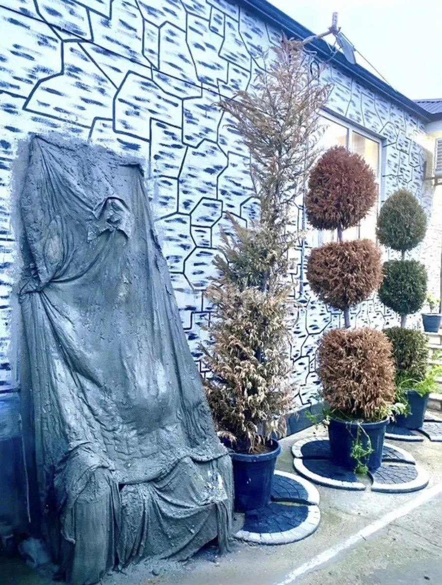 3 otaqlı həyət evi, Pirşağı q., Ağa elizade 18, Sabunçu rayonu — şəkil 7