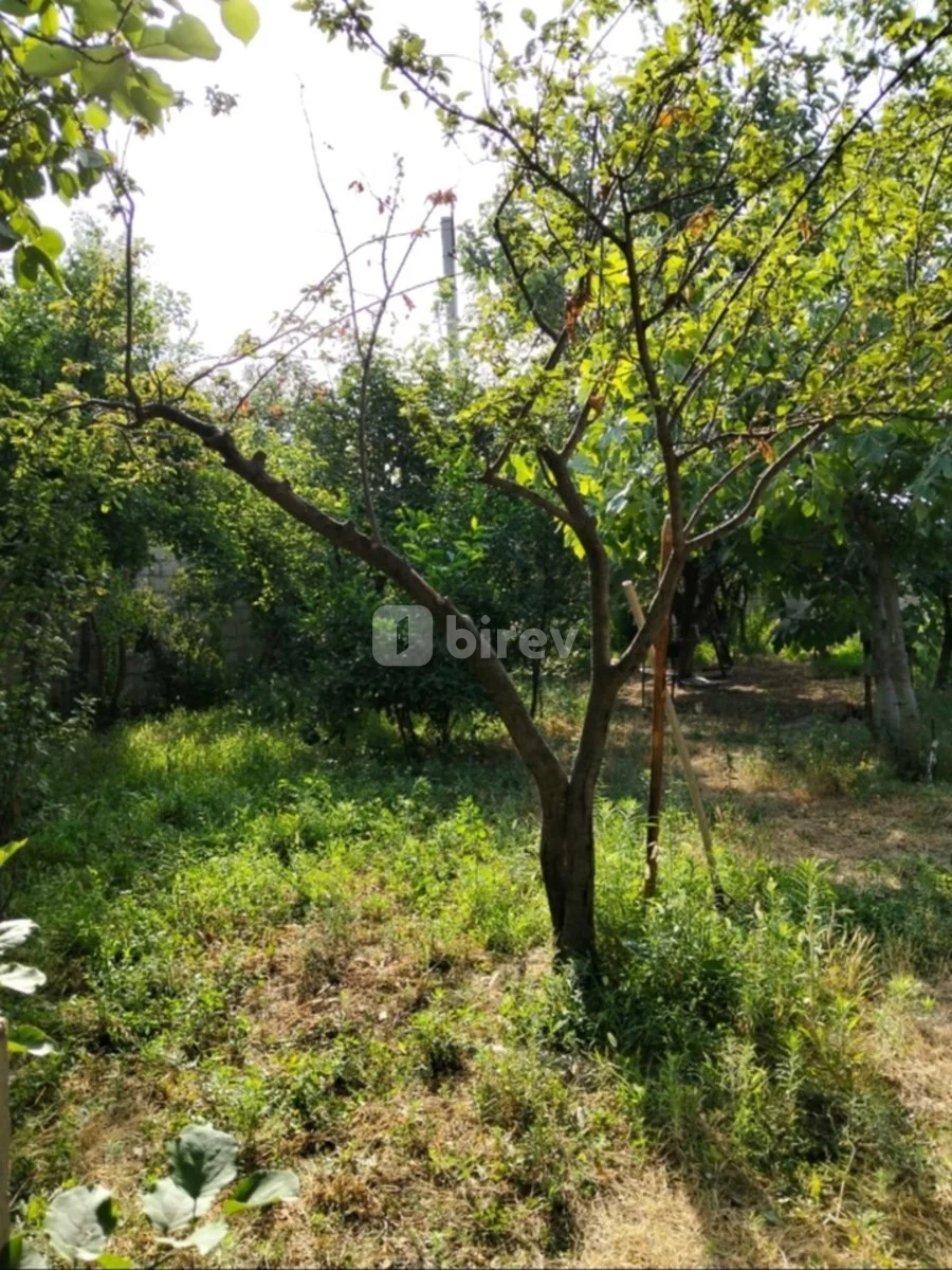 4 sot torpaq, Sumqayıt şəhəri, Ceyranbatan qəsəbəsi — şəkil 1