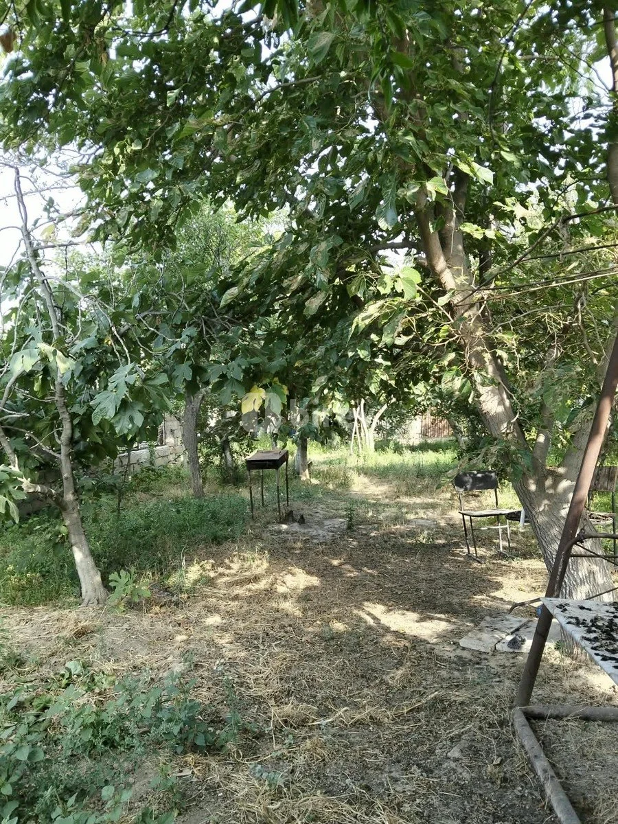 4 sot torpaq, Sumqayıt şəhəri, Ceyranbatan qəsəbəsi — şəkil 2