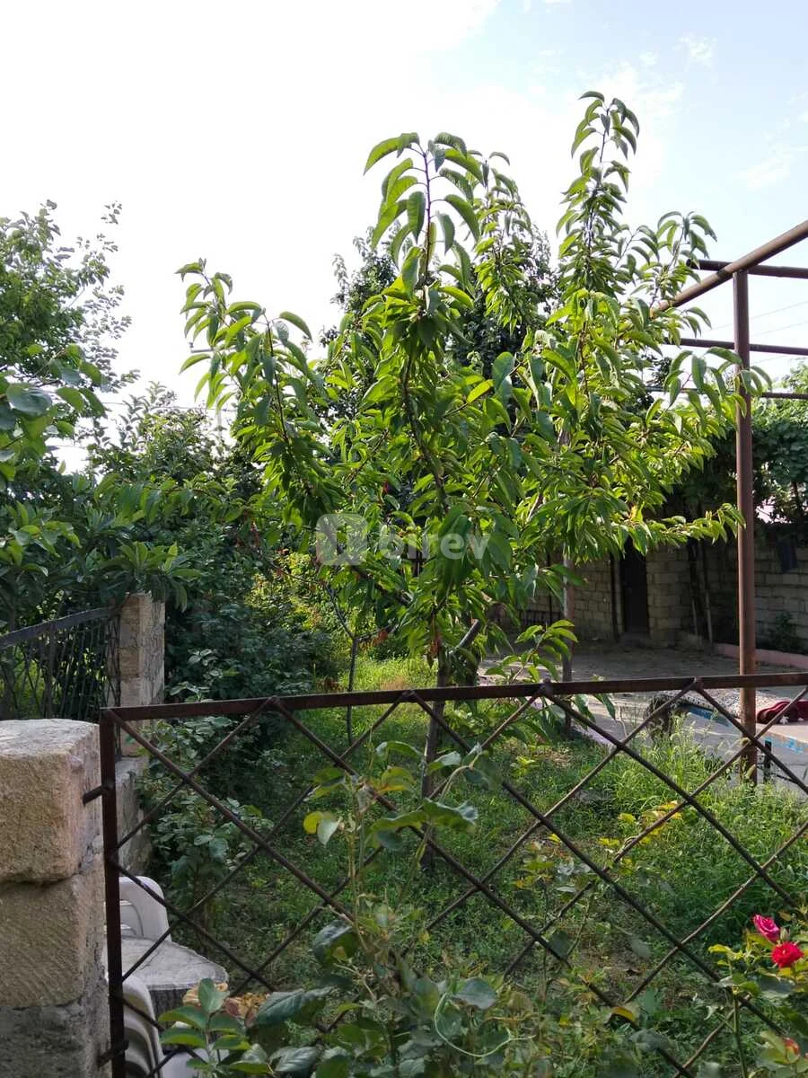 4 sot torpaq, Sumqayıt şəhəri, Ceyranbatan qəsəbəsi — şəkil 3