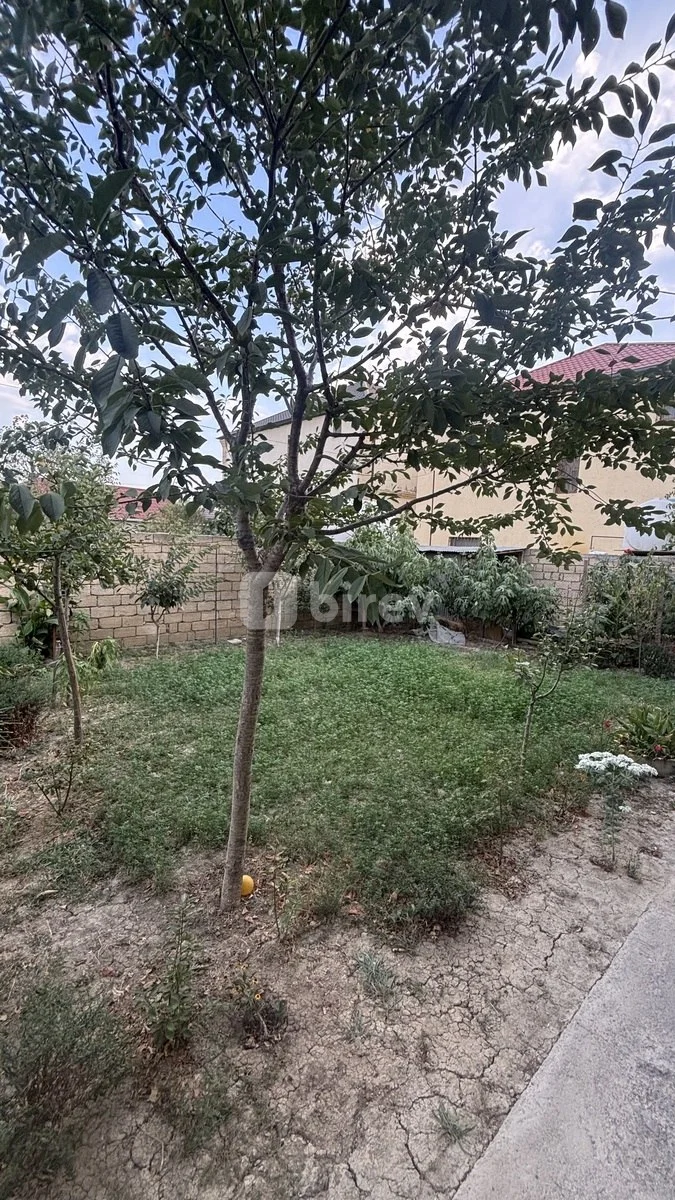 5 otaqlı həyət evi, Masazır q., Firdovsi Bağırzadə küçəsi, Abşeron rayonu — şəkil 7