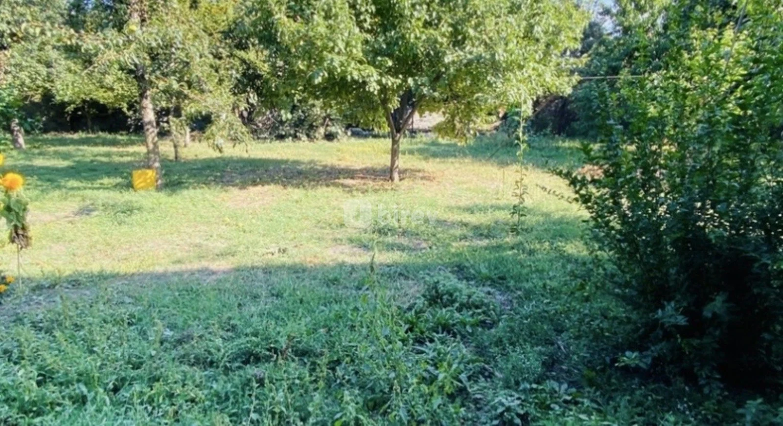 4 sot torpaq, Qəbələ rayonu, Məhəmməd Əzizli küç., Qəbələ rayonu — şəkil 2