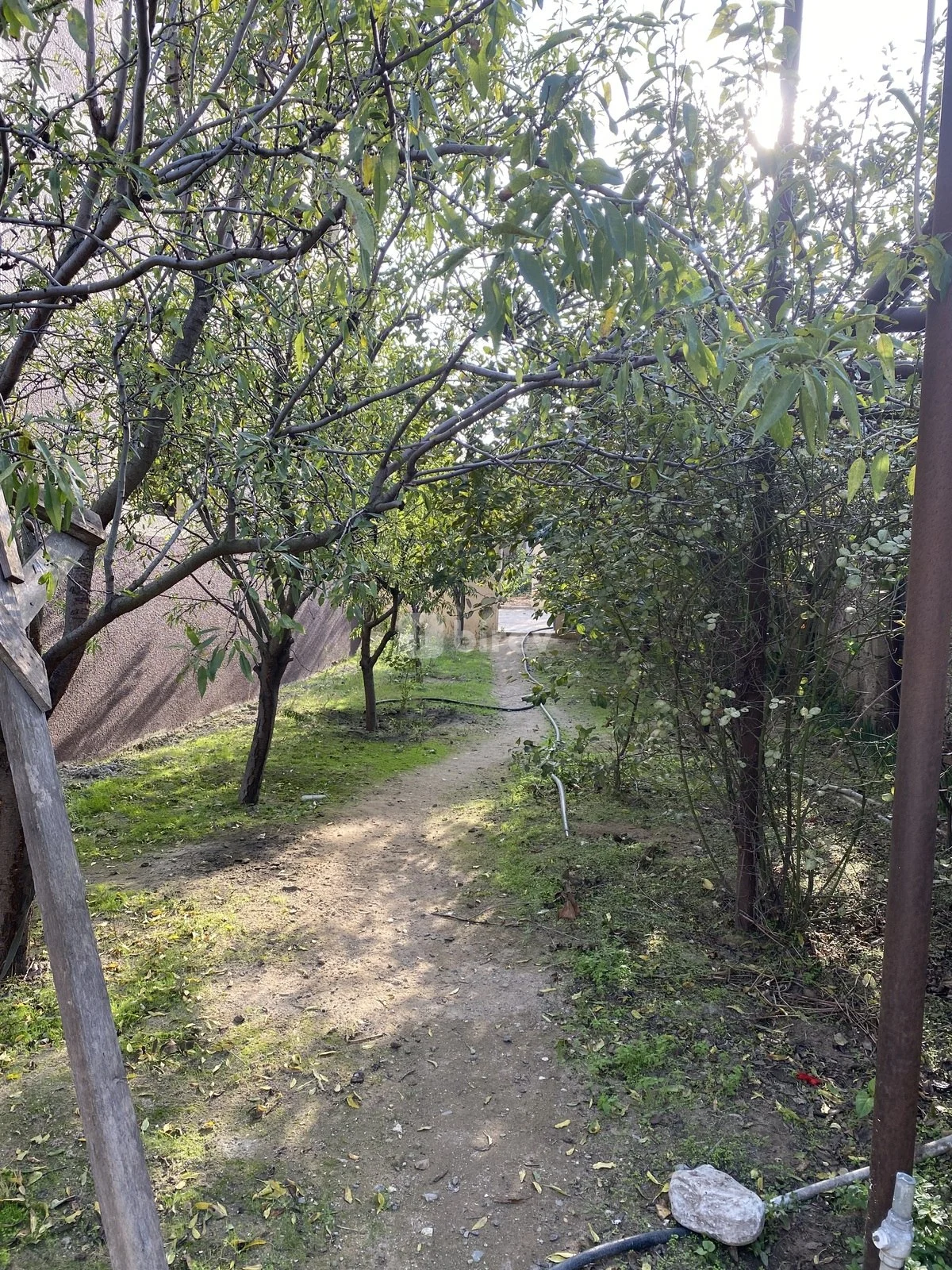 Həyət evi, Binə q., Binə qəsəbəsi, Xəzər rayonu — şəkil 2