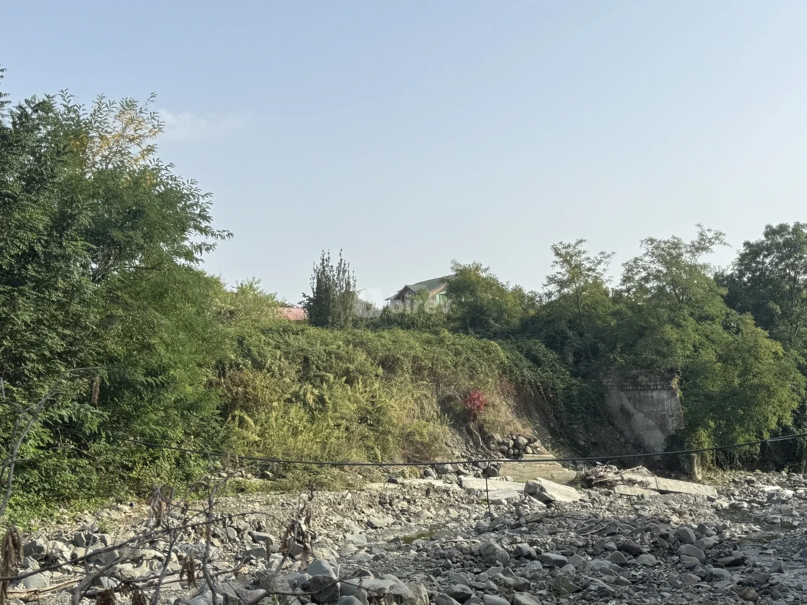 32 sot torpaq, Car, Zaqatala rayonu,Car kendi, Zaqatala rayonu — şəkil 5