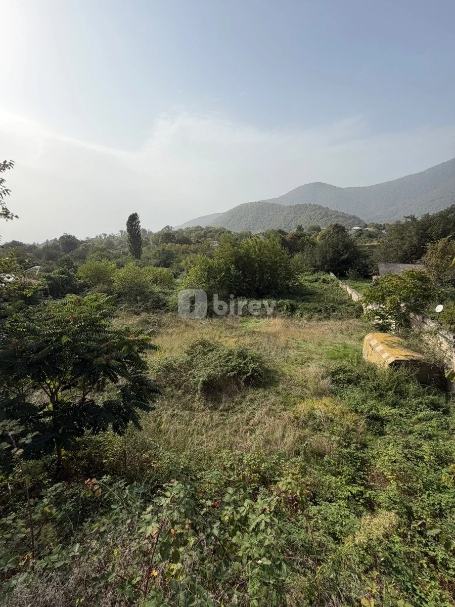 32 sot torpaq, Car, Zaqatala rayonu,Car kendi, Zaqatala rayonu — şəkil 6