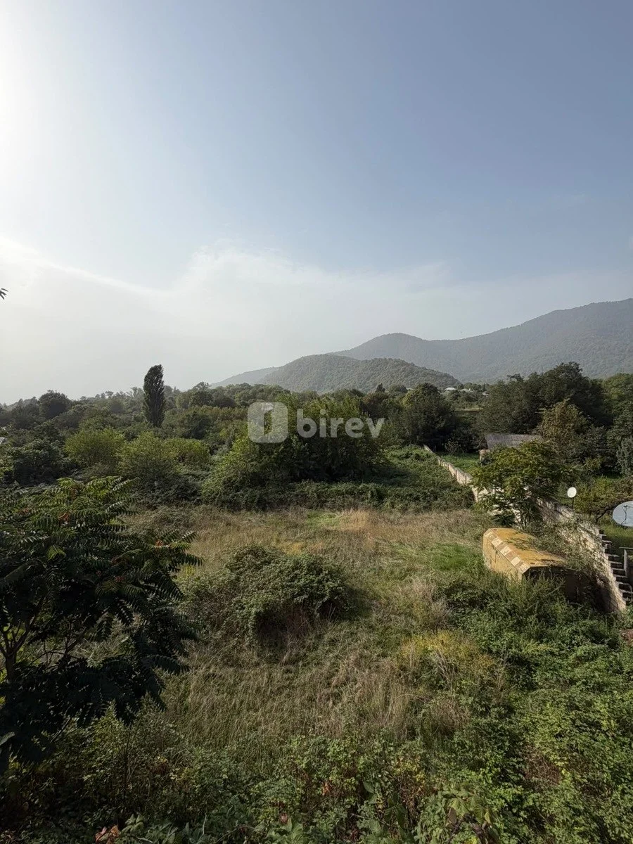 32 sot torpaq, Car, Zaqatala rayonu,Car kendi, Zaqatala rayonu — şəkil 7